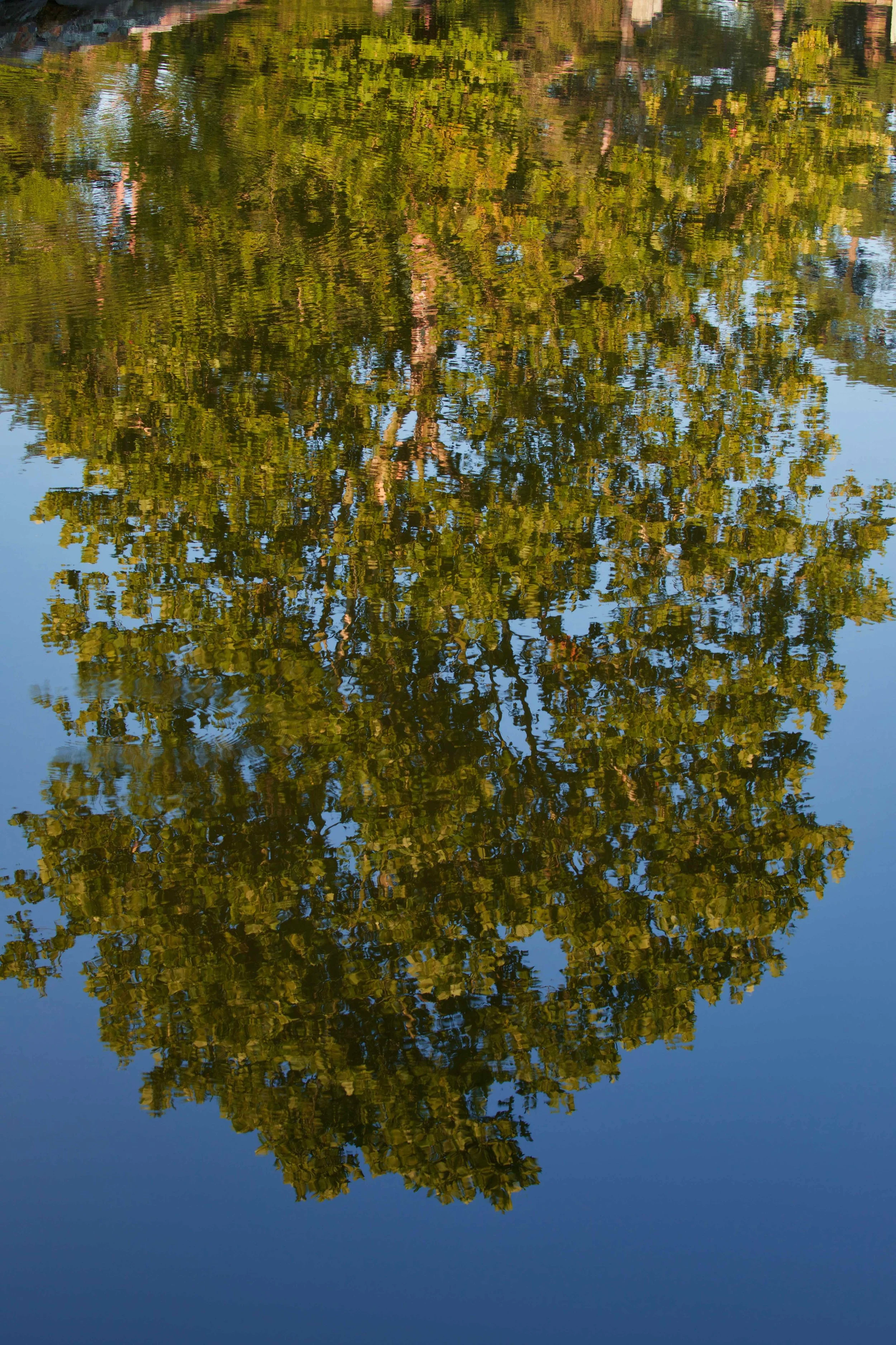 Upside Down