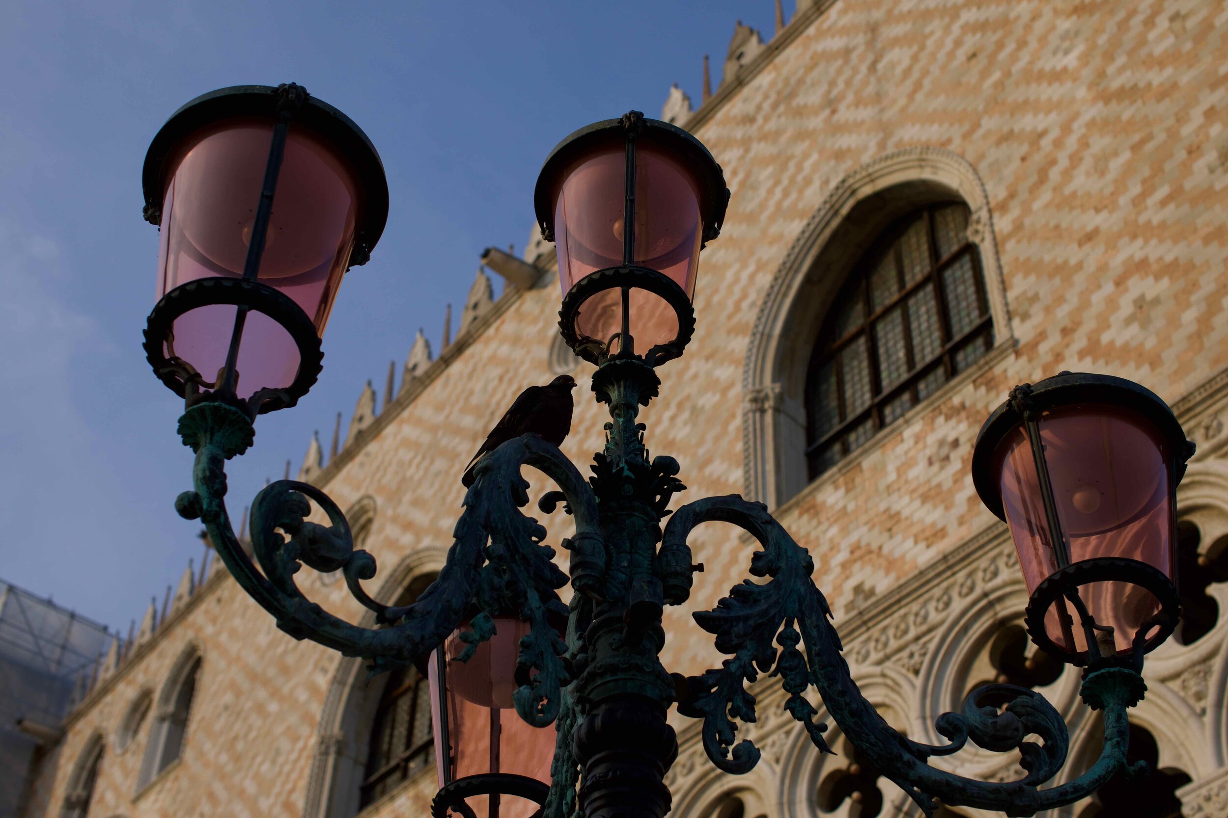 Illumination for Piazza San Parco