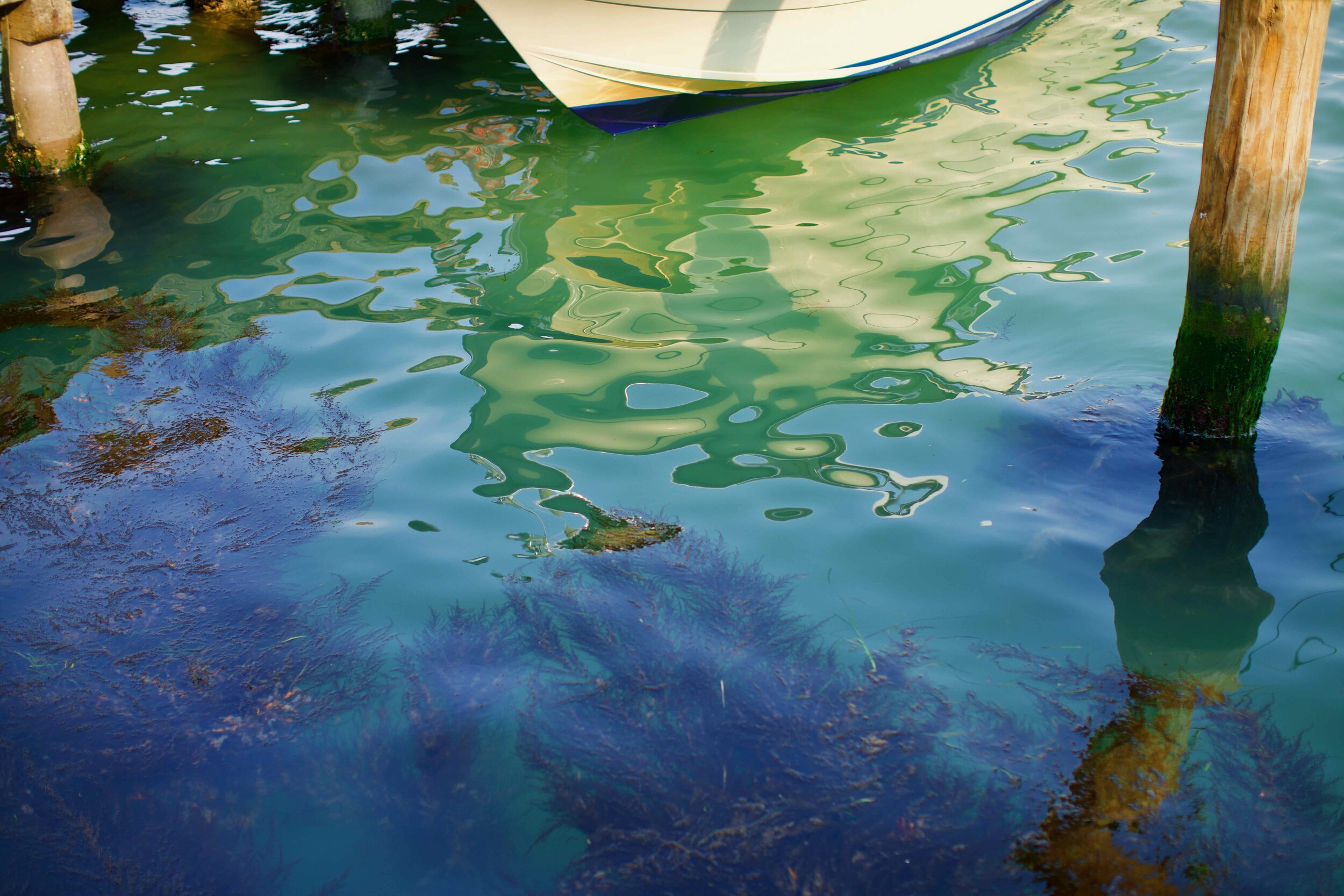 Venice Reflections