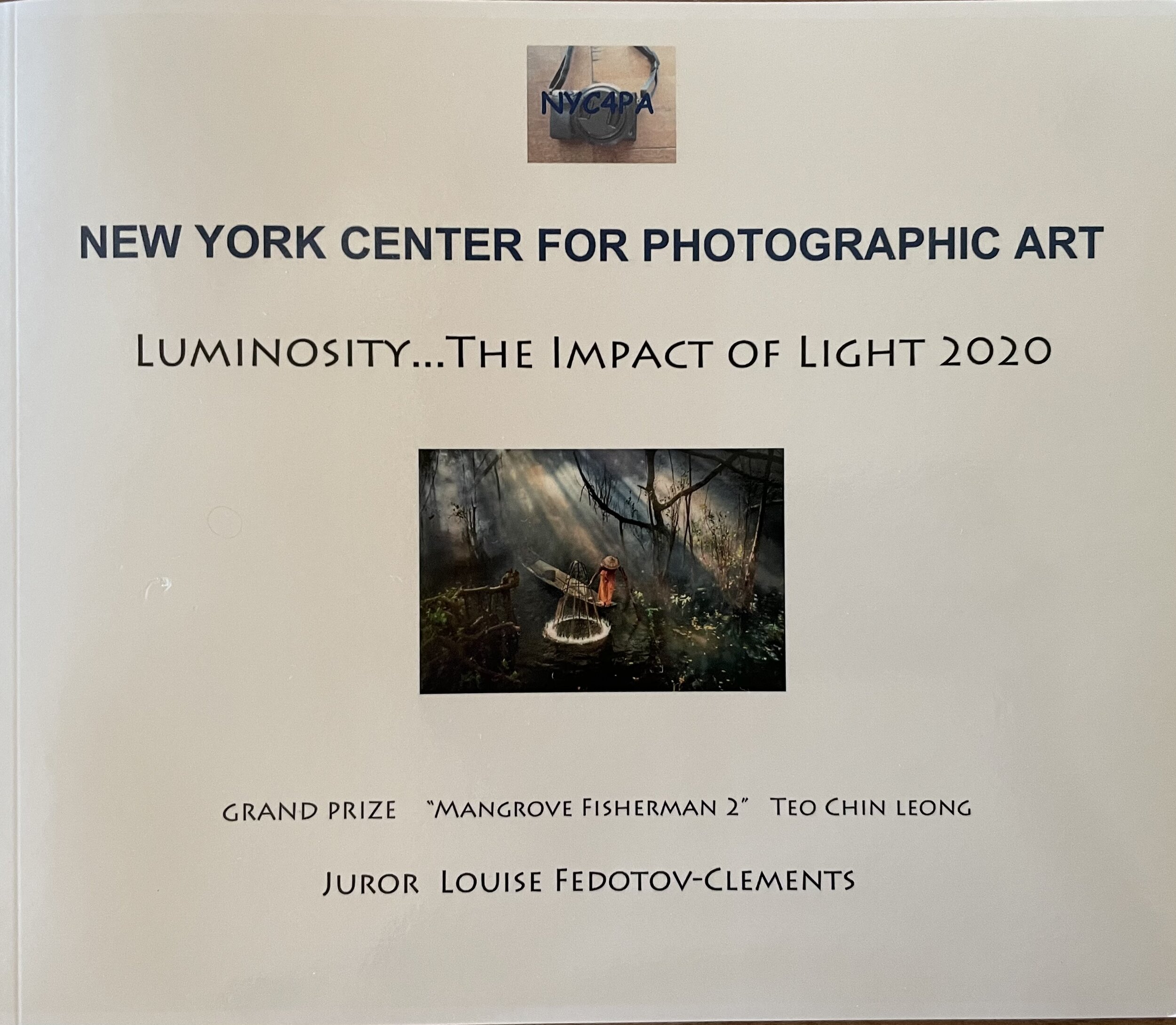 Luminosity Exhibit 2020 by the NYC4PA