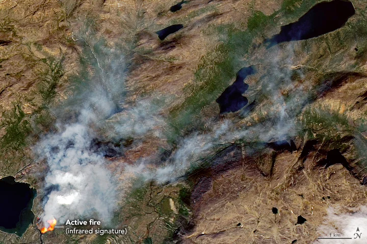 Rare wildfires in western Greenland. Credit: NASA Earth Observatory