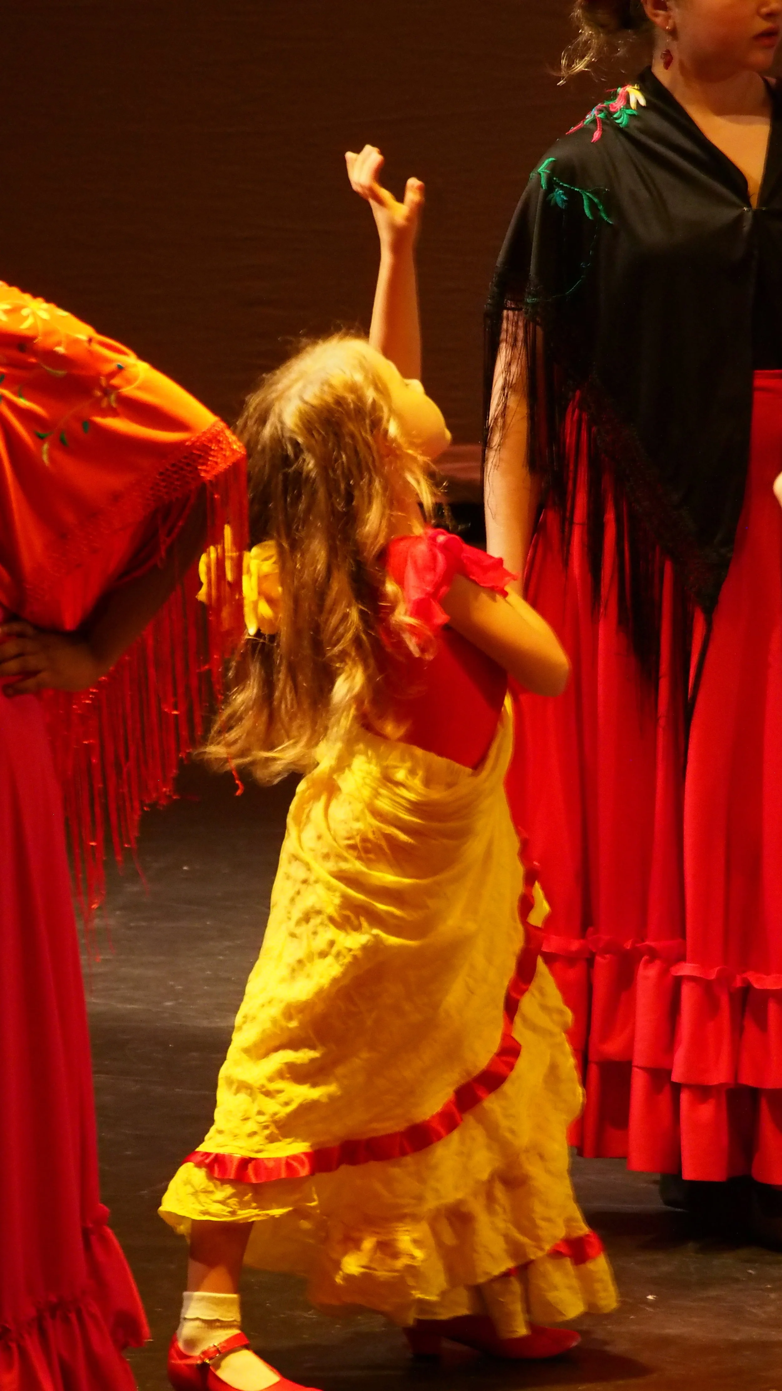 Flamenco little one yellow 2.JPG