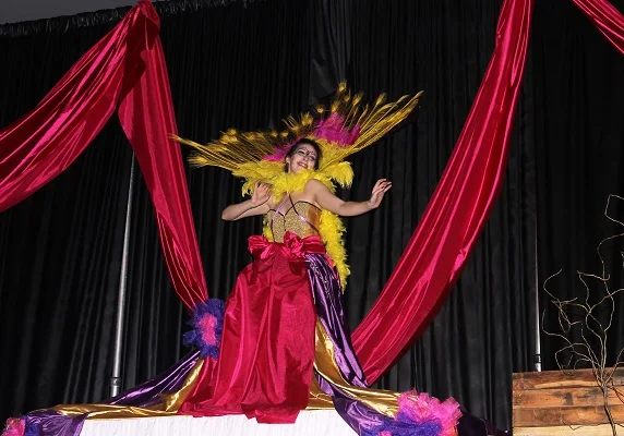 Heart Association Heart Ball Gala
