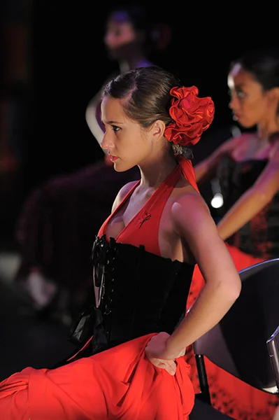 Latin Ballet of Virginia featured on Virginia Currents