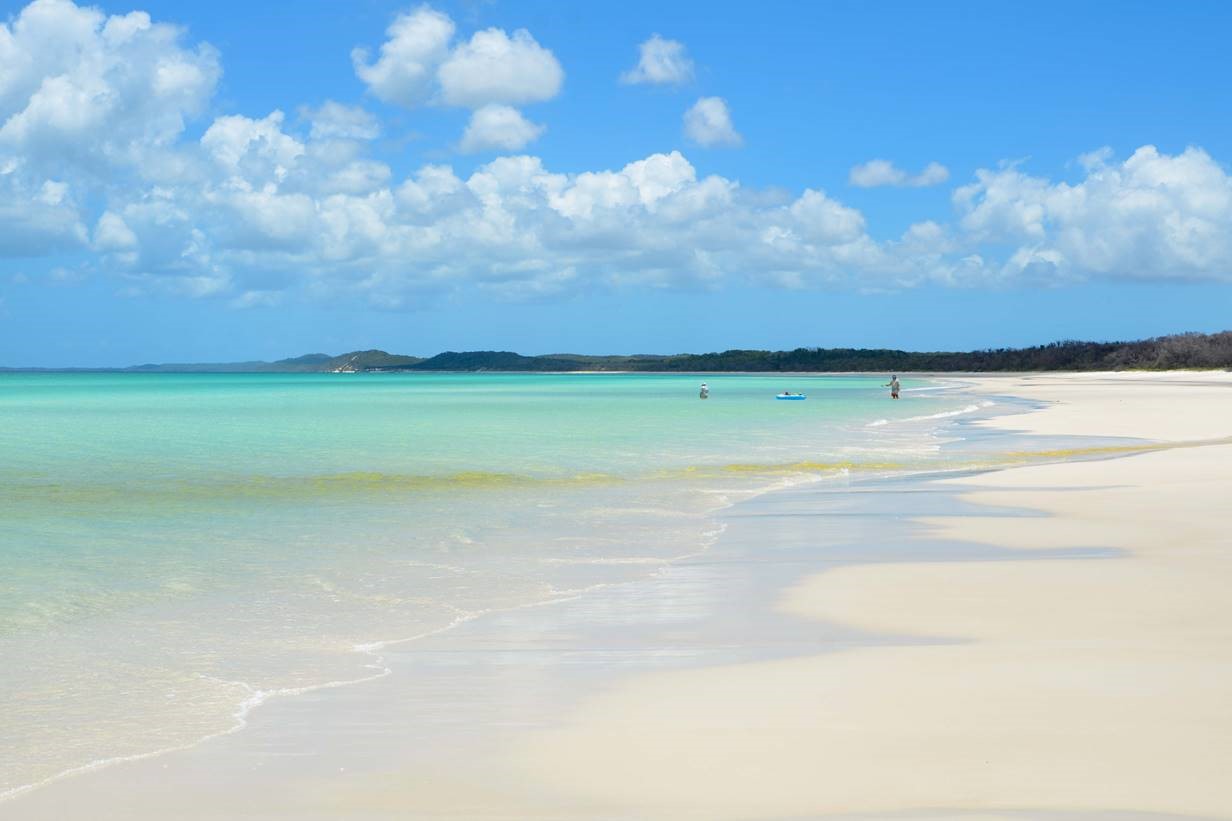 Platypus Bay.jpg