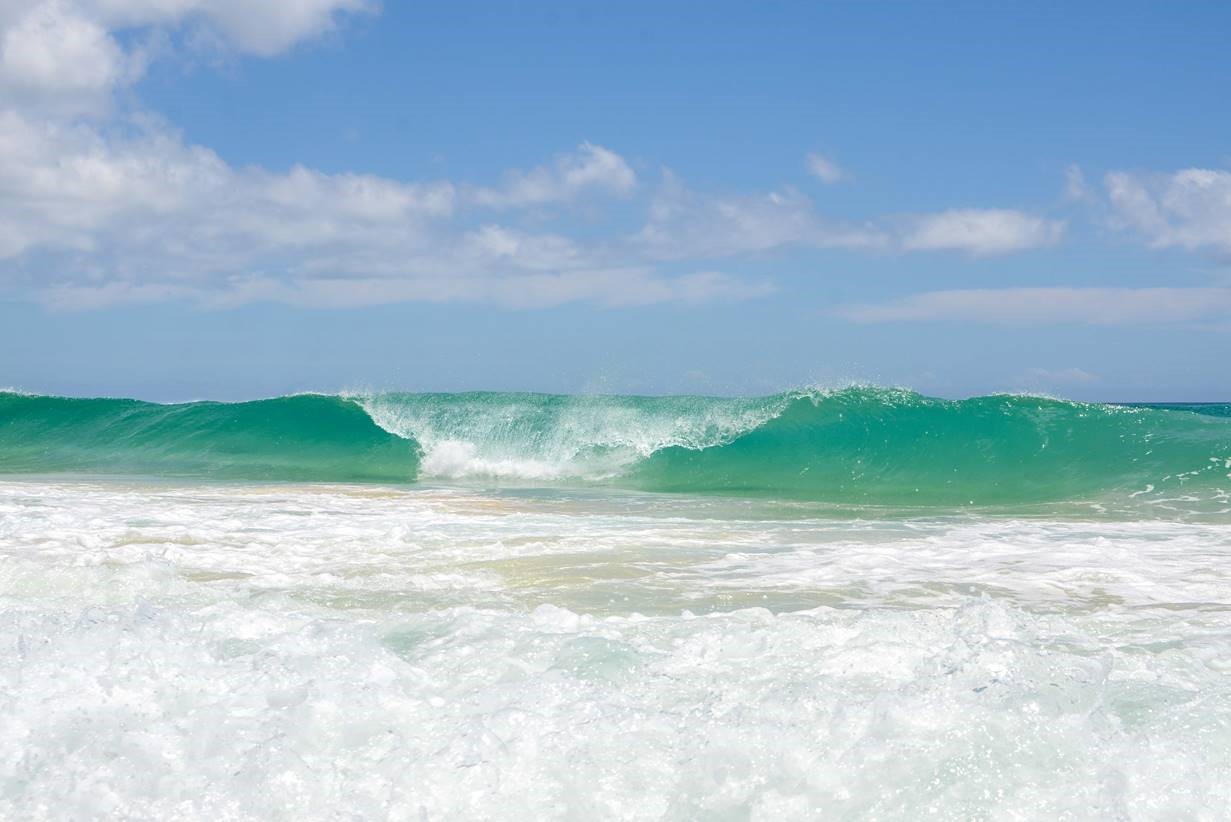Surf.jpg