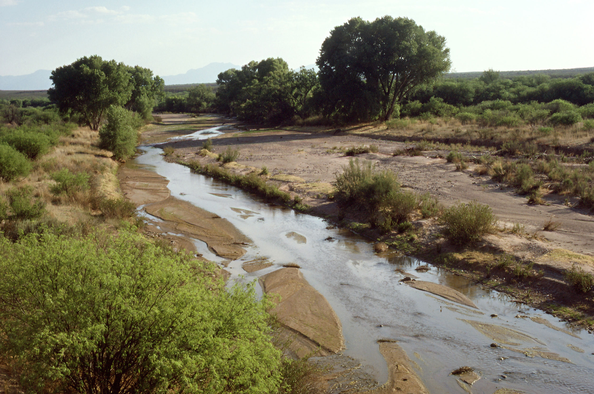 San Pedro River