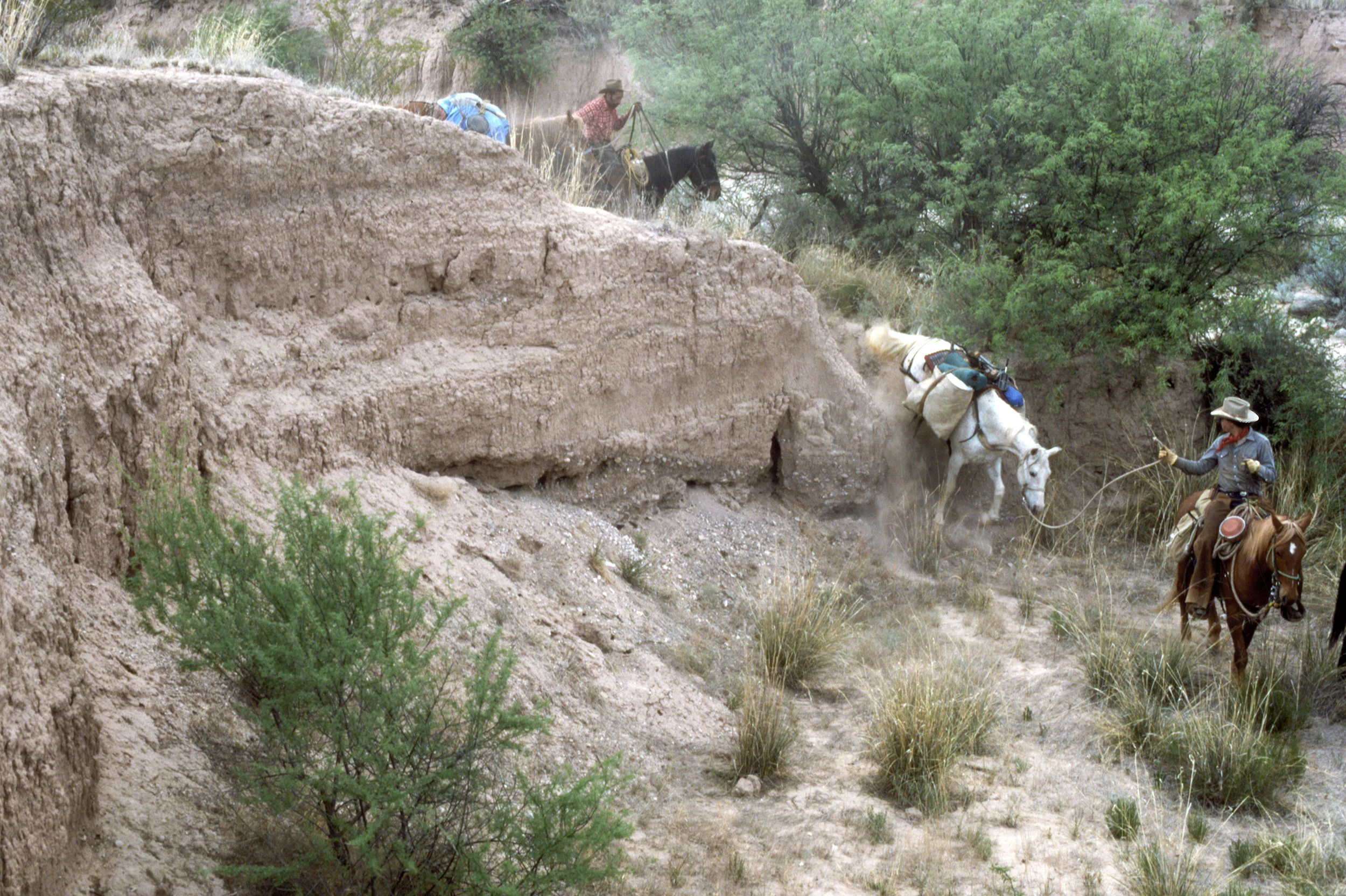 Navigating Terrain