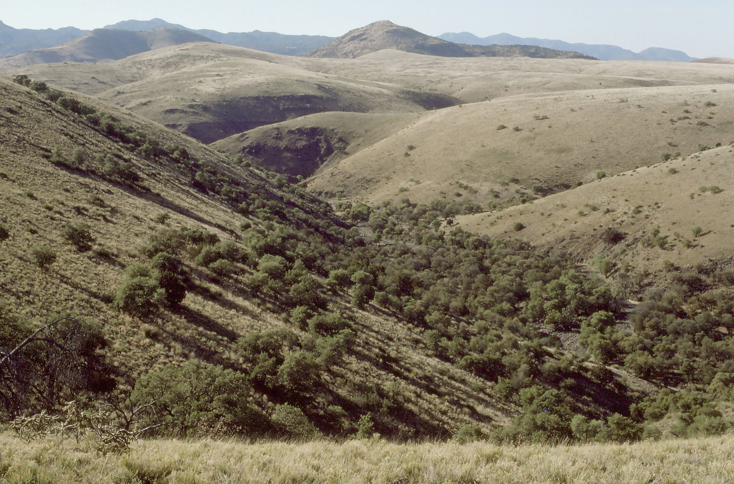 Folding Land Forms