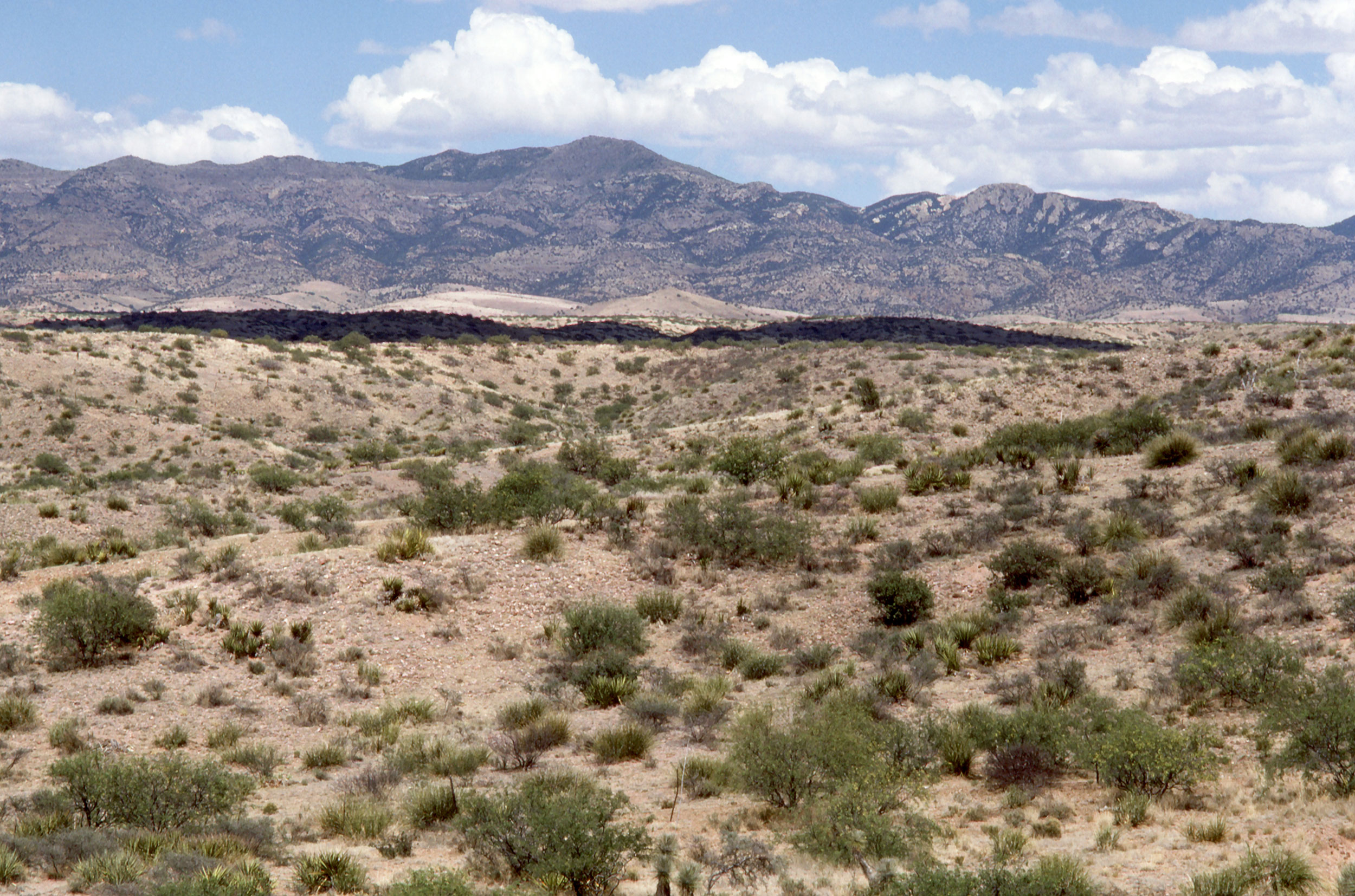 Approaching Salt River