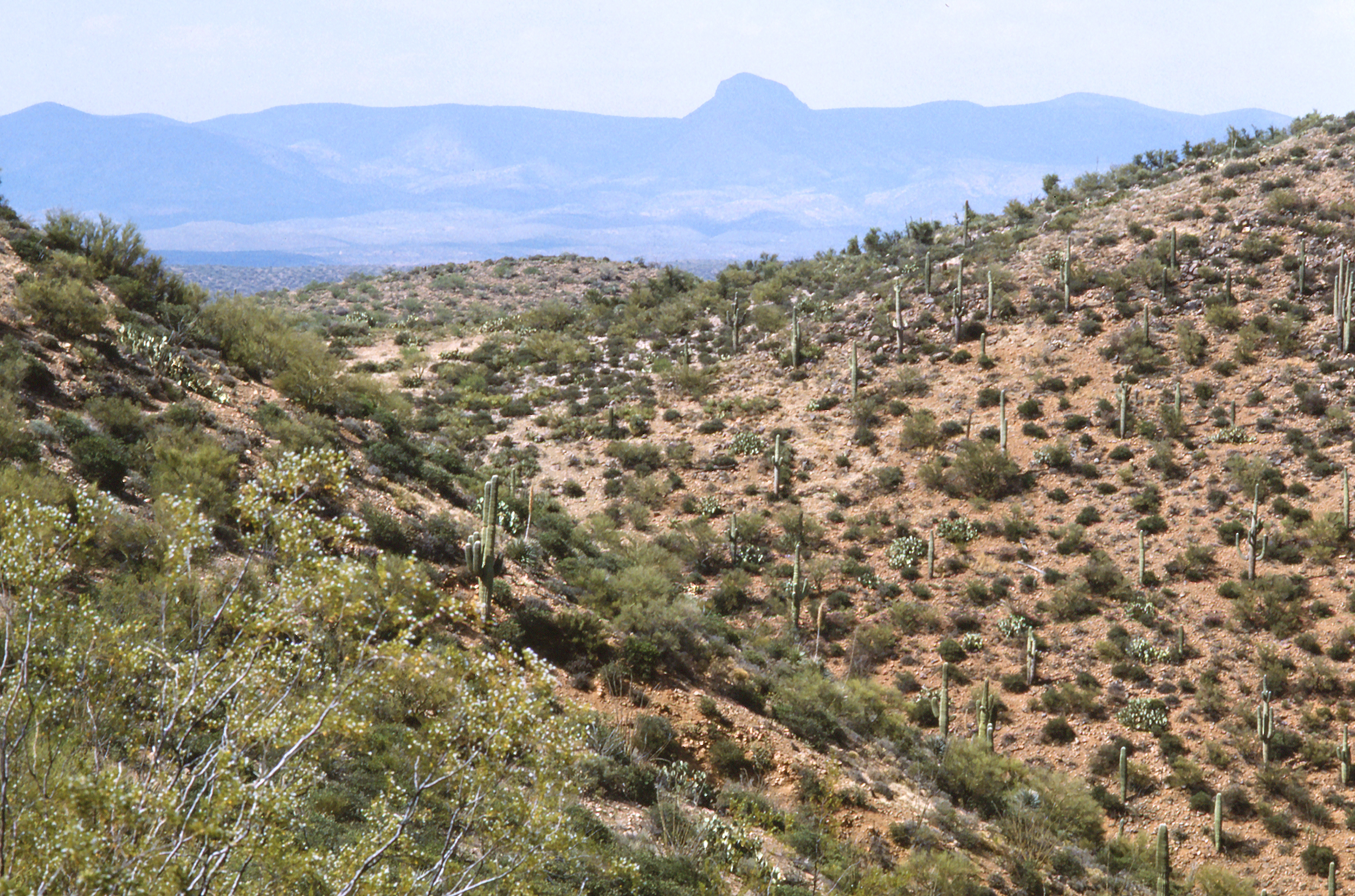 Approaching Salt River 2