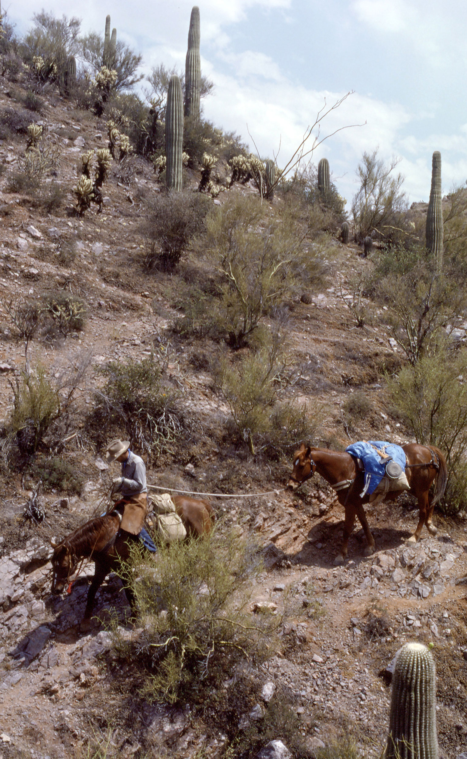 Doug Navigating Trail