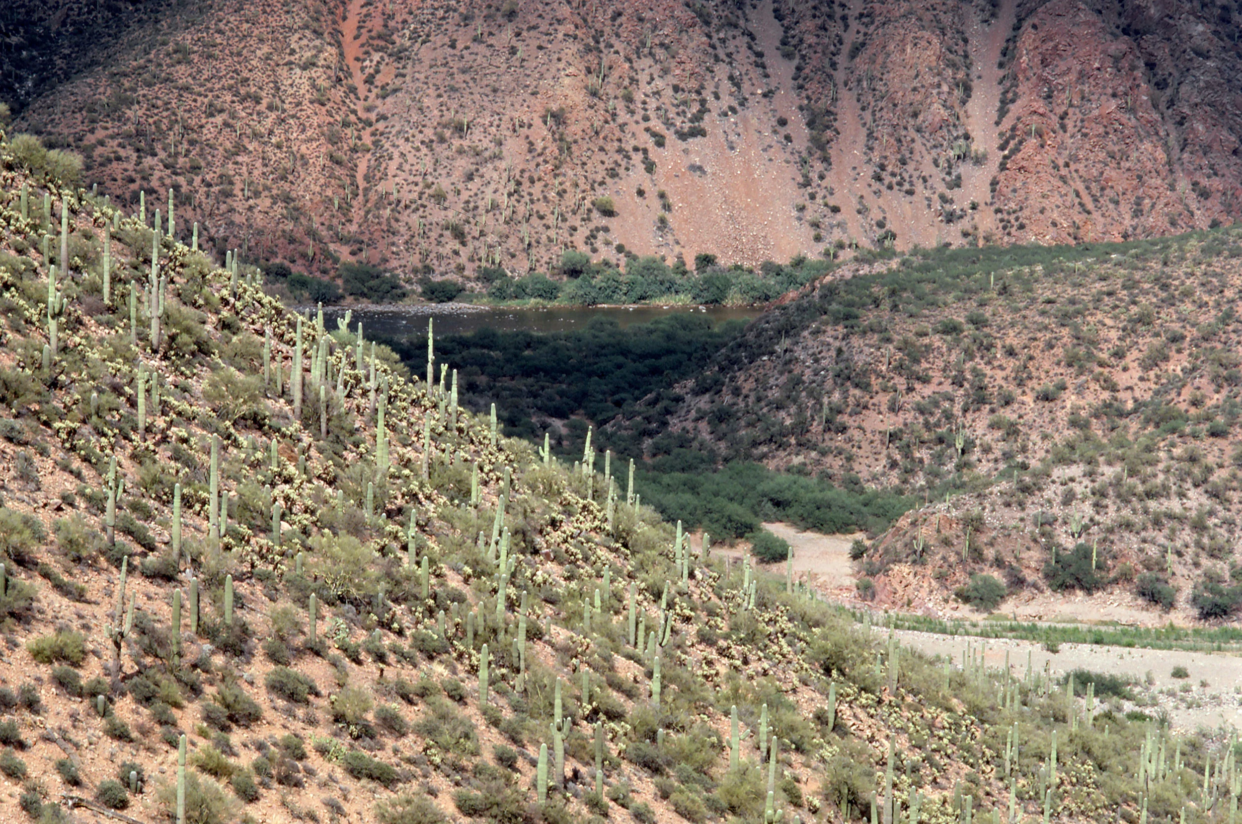 View from Above