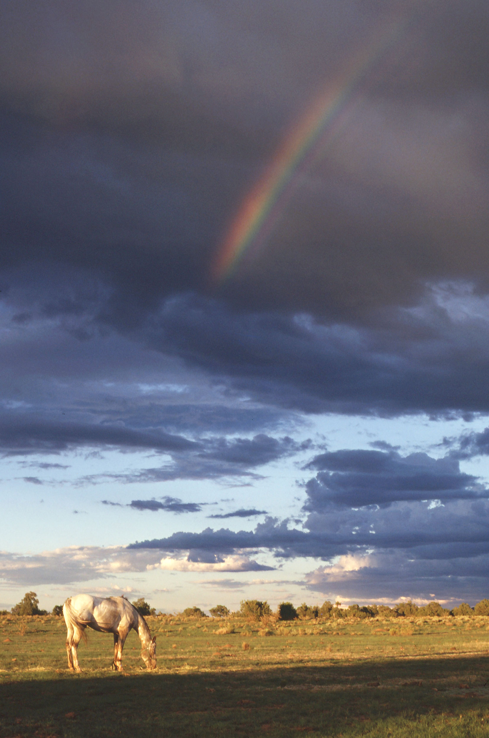 Evening Rainbow