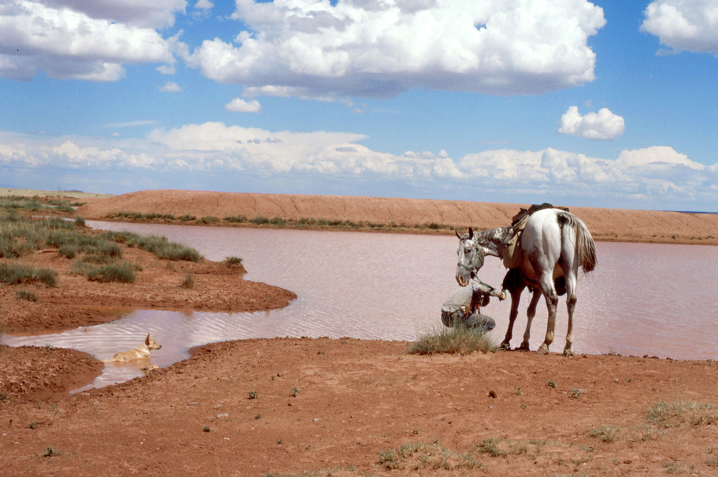 Mud Drinking Water