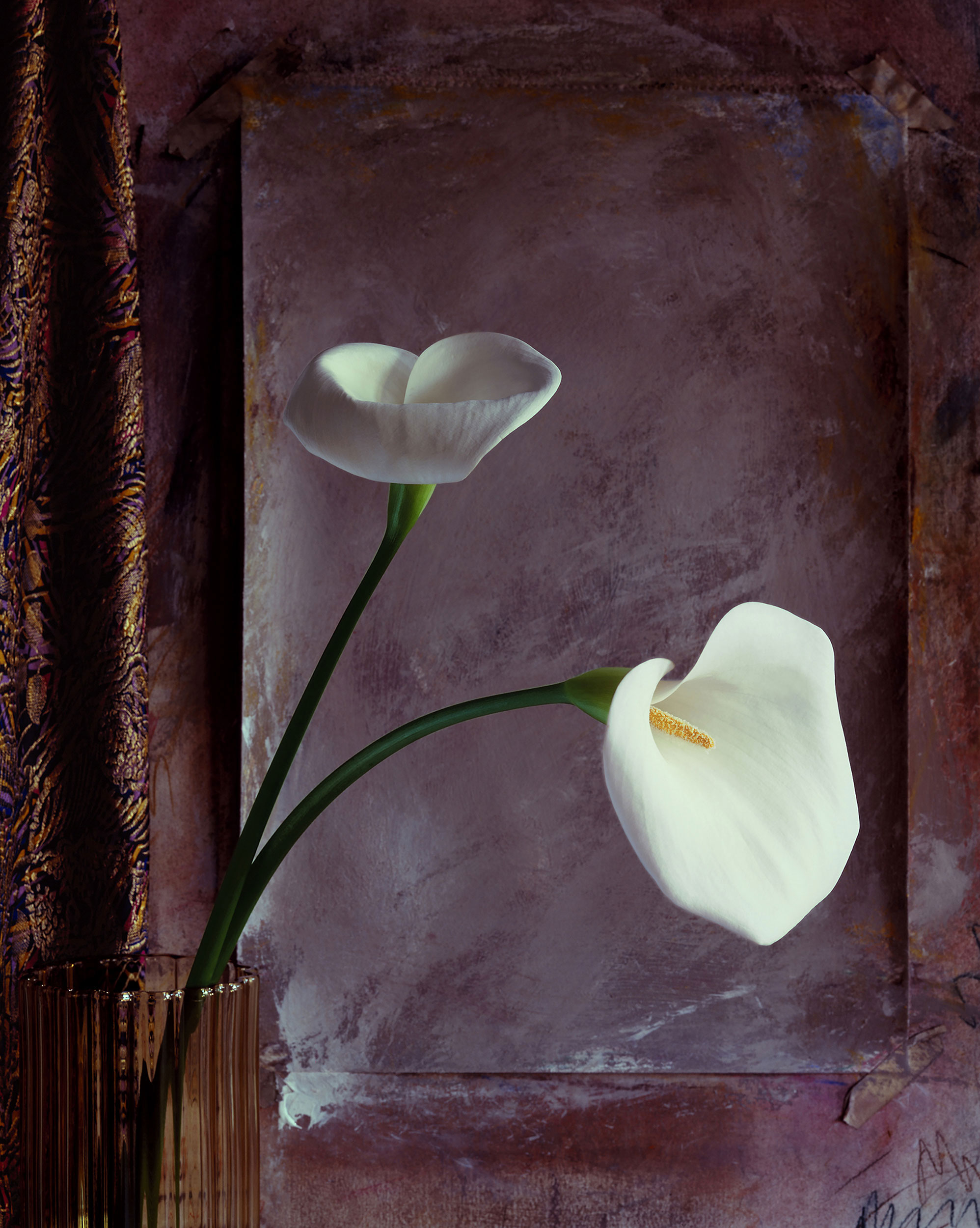 Calla Lily