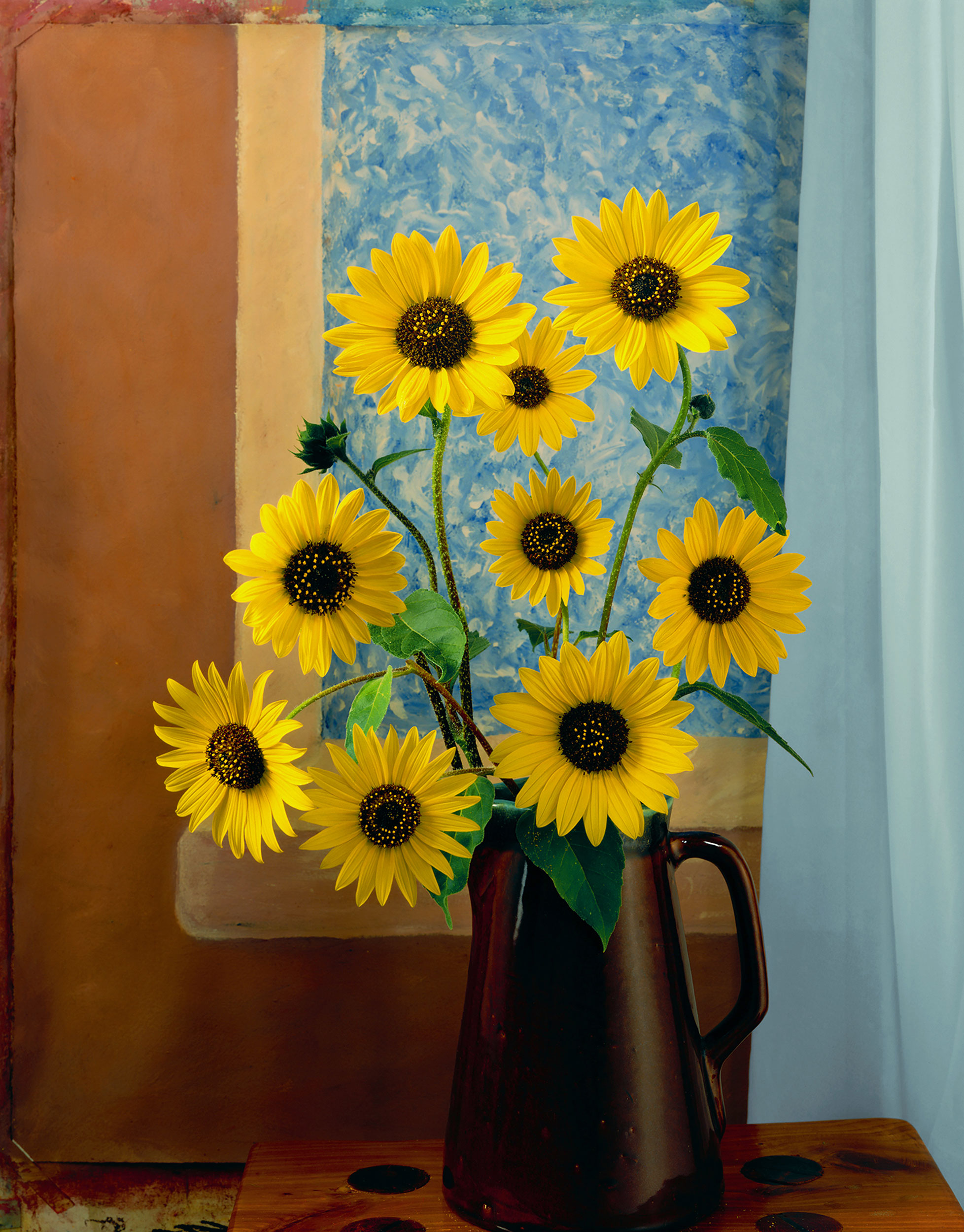 Sun Flowers