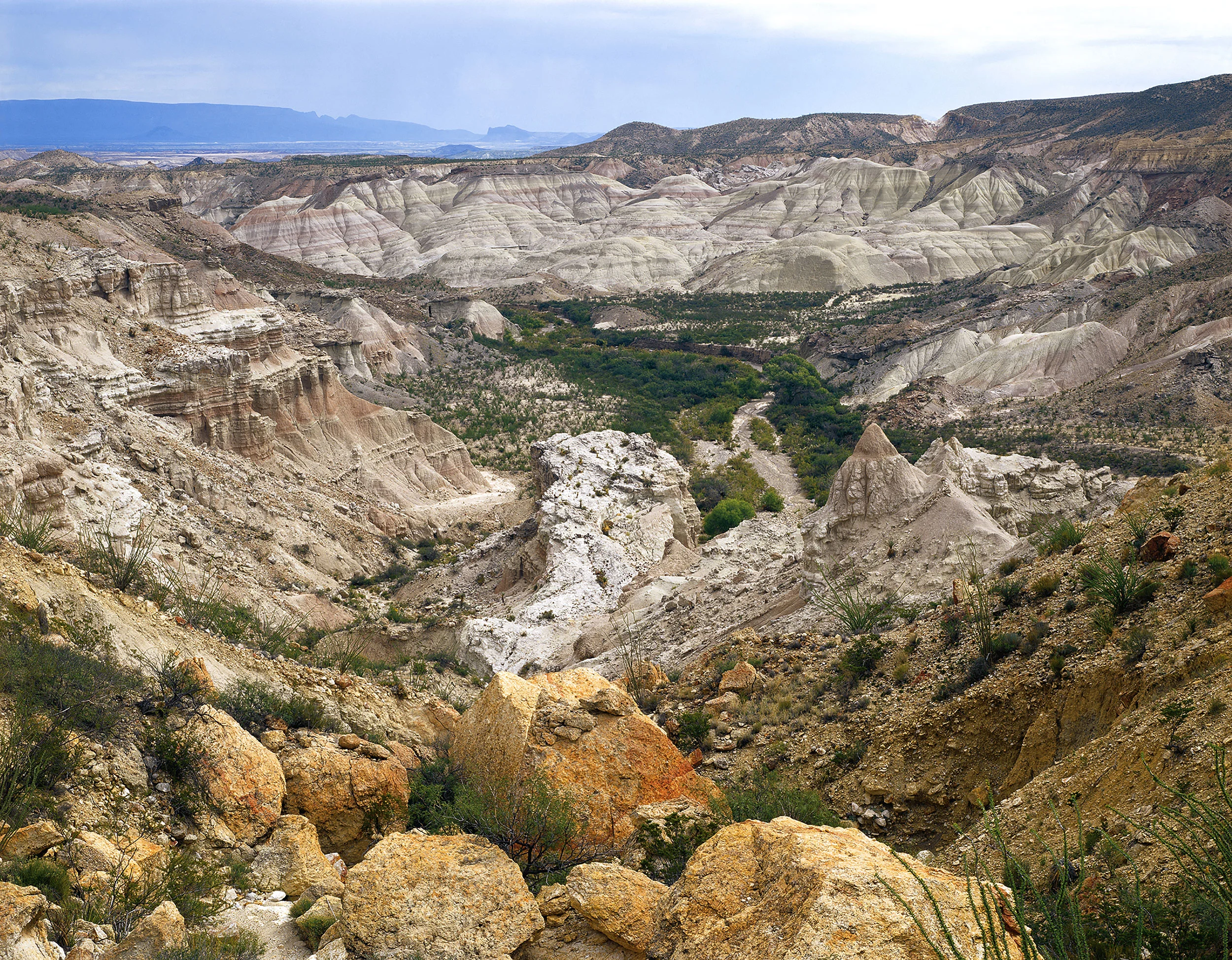 View East into Alamo de Cesario Creek