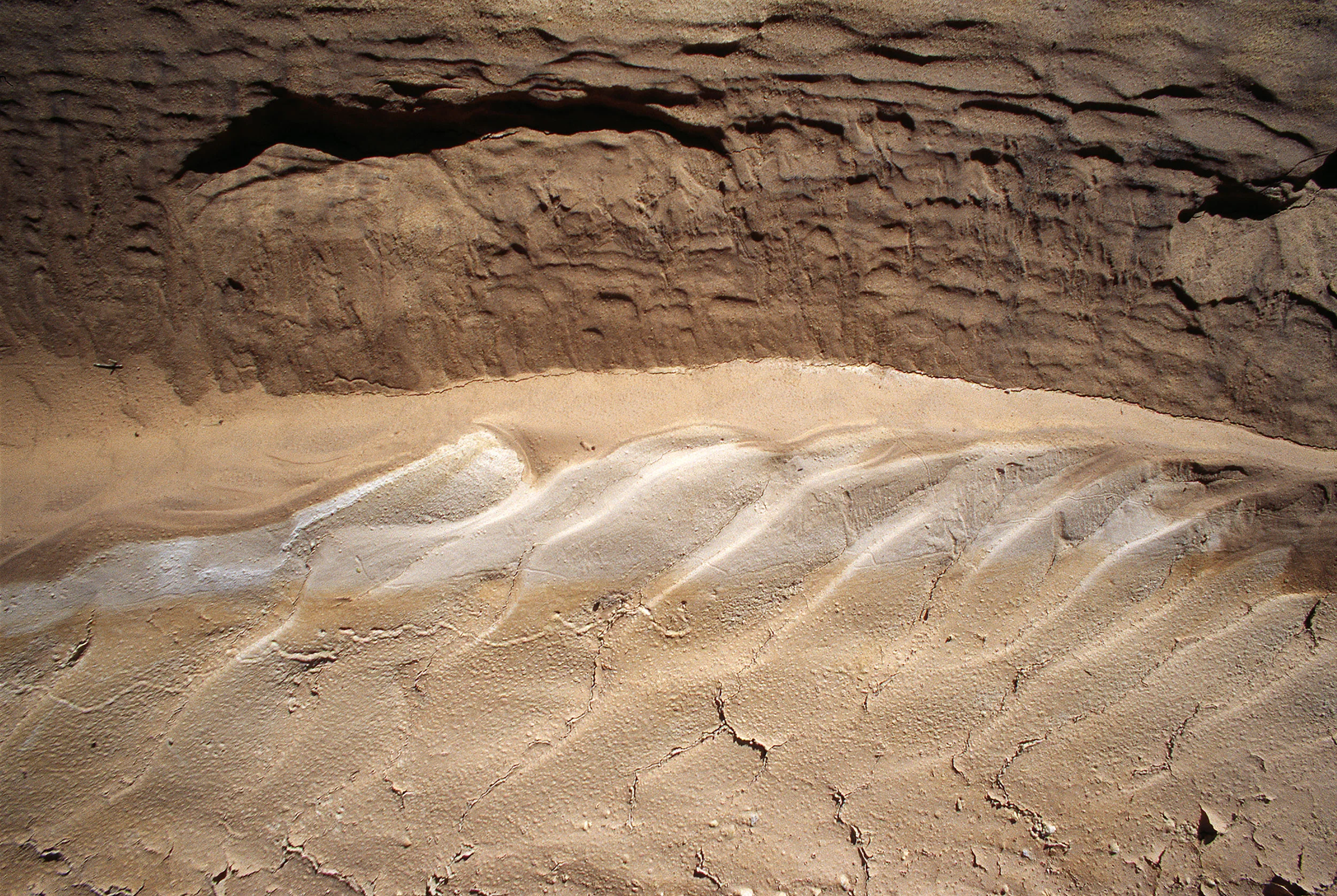 Ripple Marks on Canyon Floor