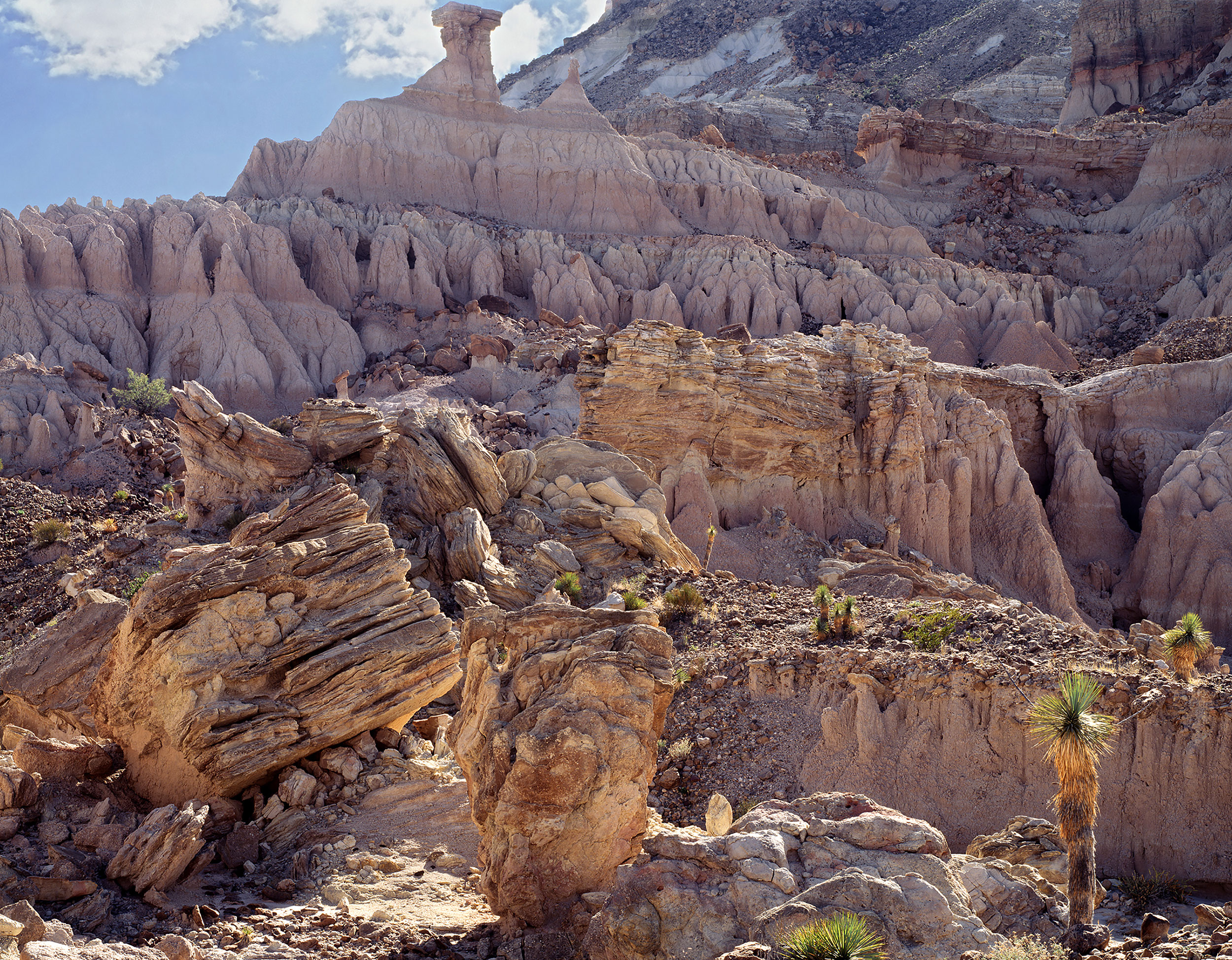 Rose Tinted Sediments, Base of Dalquest Peak