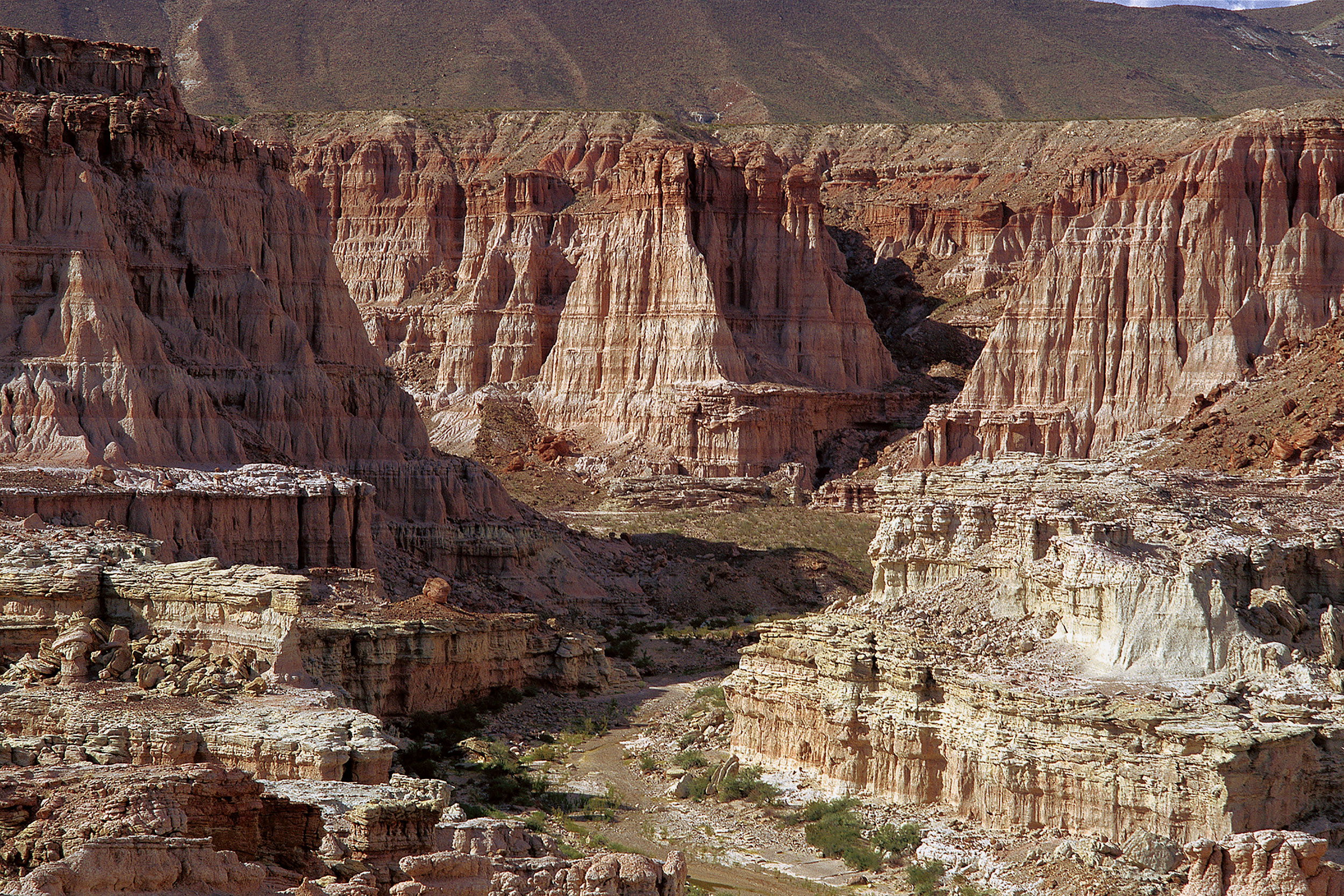 Walls of Red Canyon
