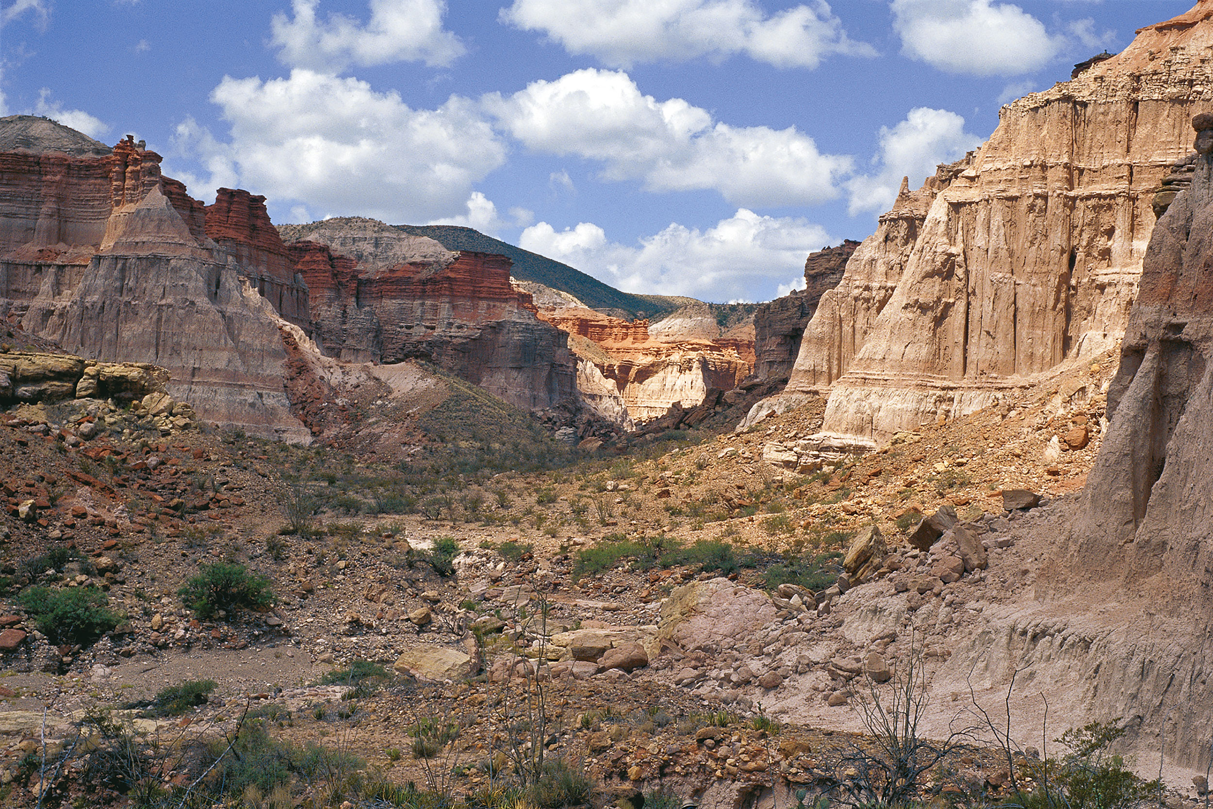 Red Canyon Looking West