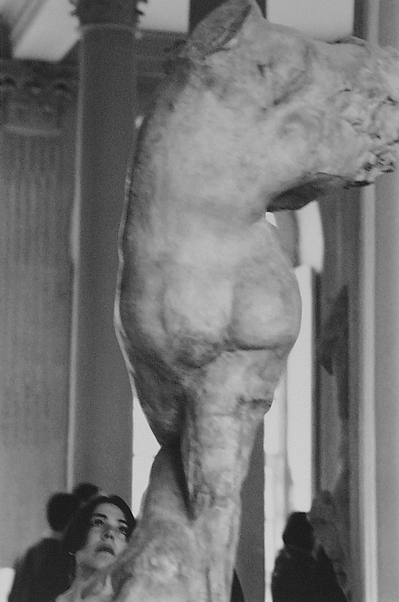 Compassion for Form