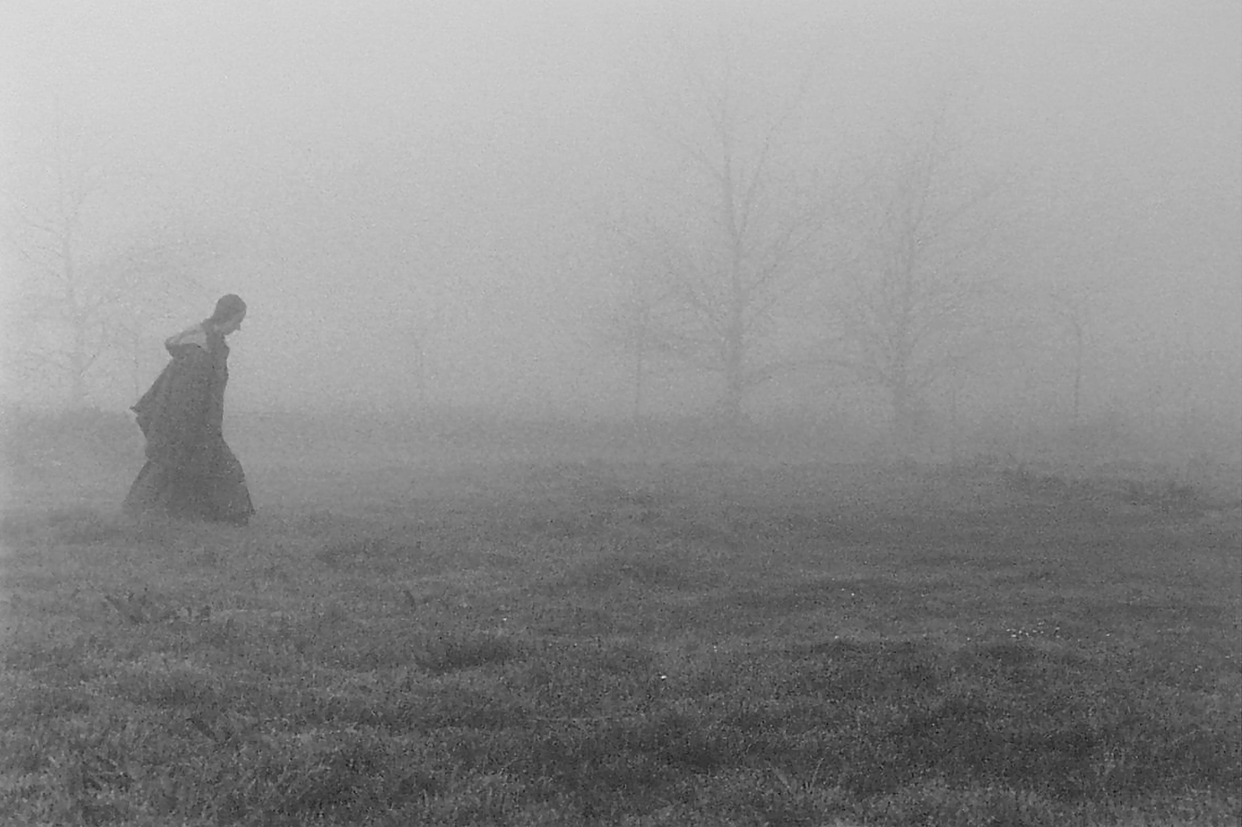 Monk Strolling in Fog