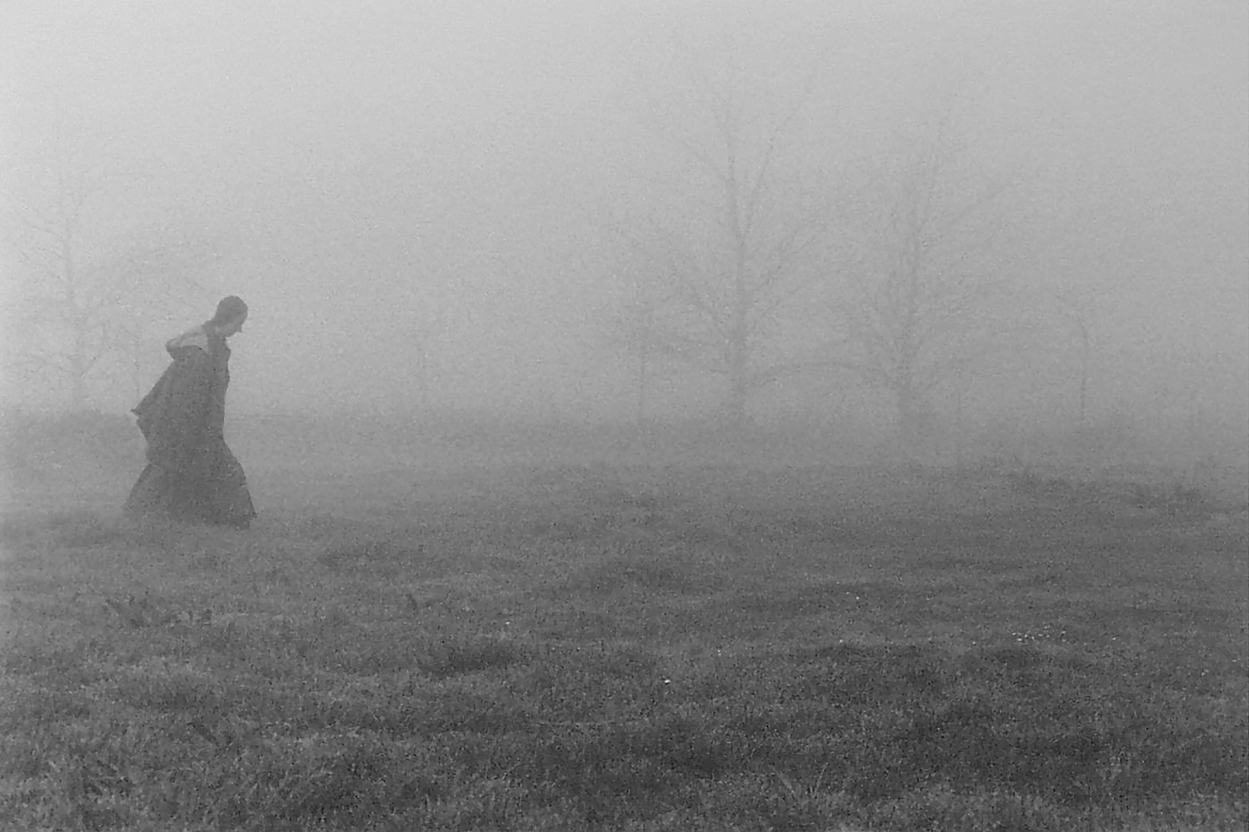 Monk Strolling in Fog
