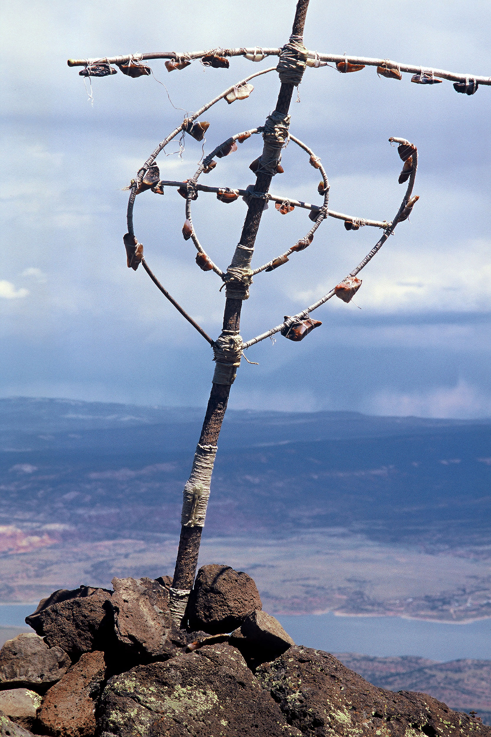 Pedernal Mt, 2 Years Later, Piedra Lumber, near Abiquiu, NM