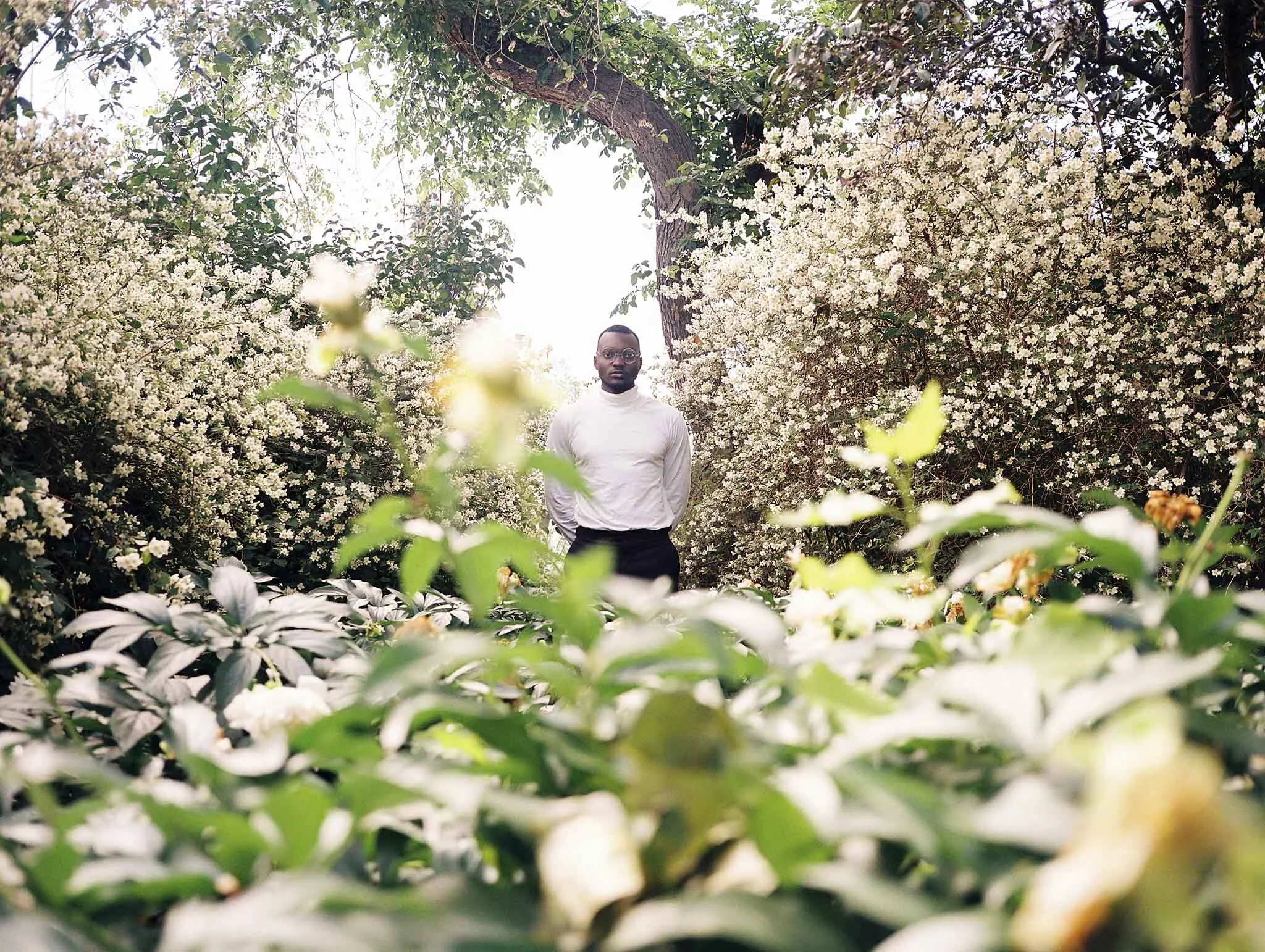 ivan touko Alberta legislature building kodak 800