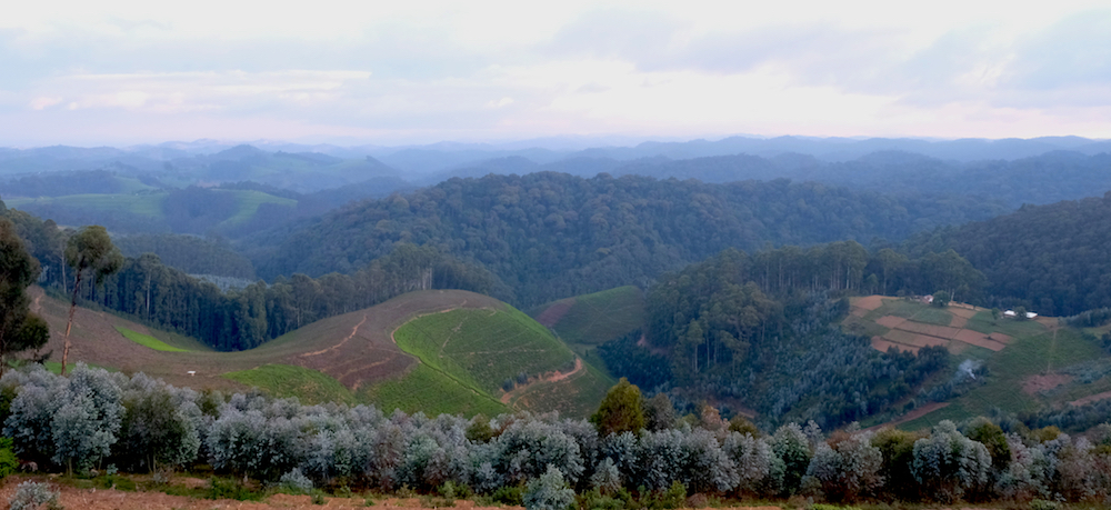 rwanda.jpg
