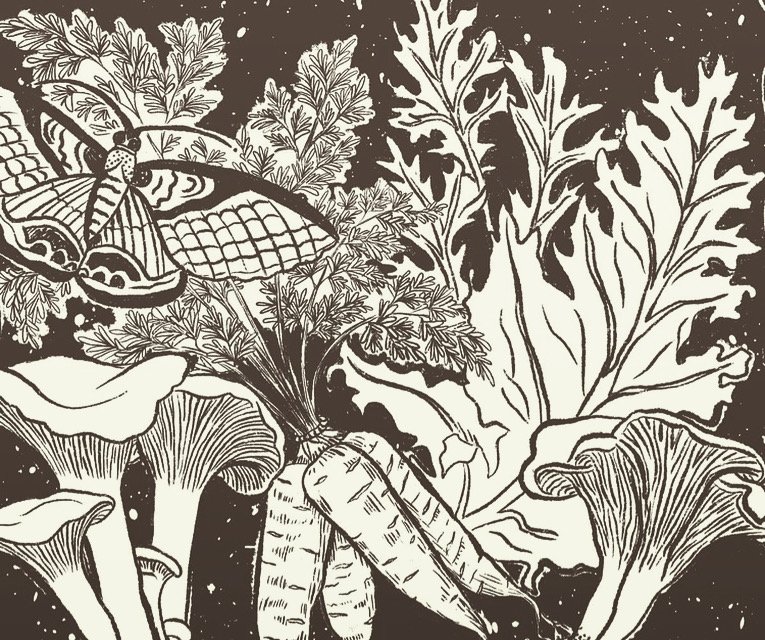 Green Owl Shirt Design