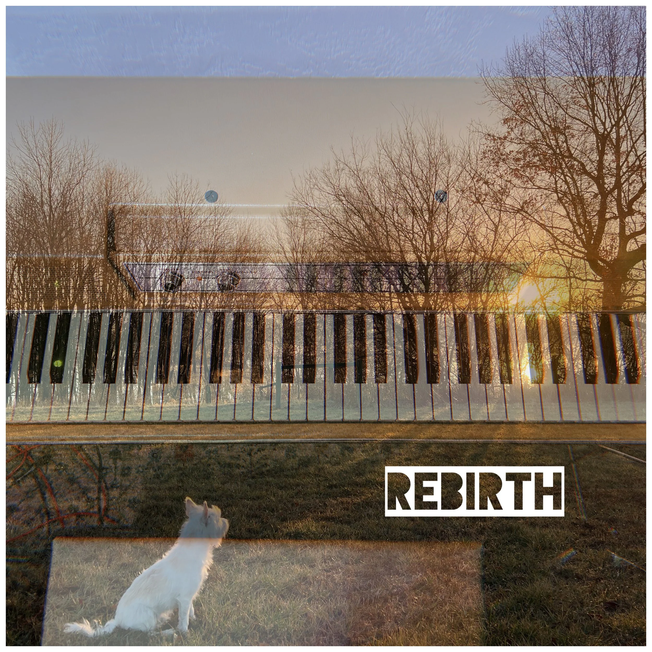 Rebirth (solo version)