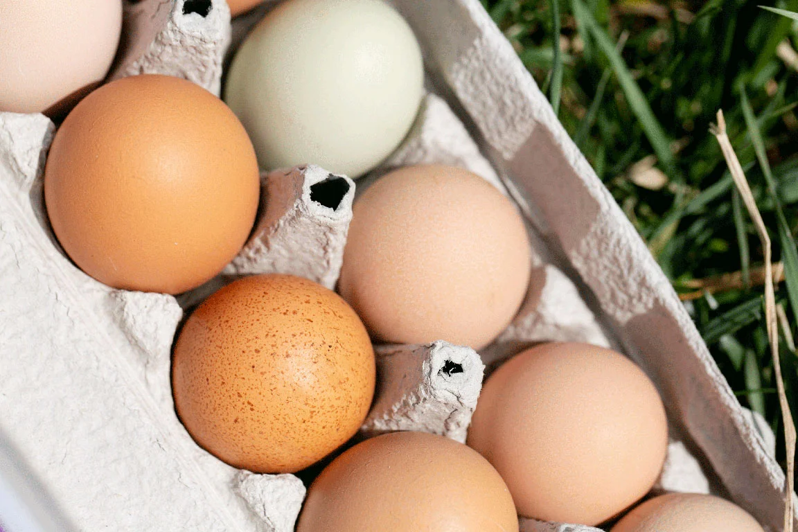 Our pasture raised eggs are like nothing else.