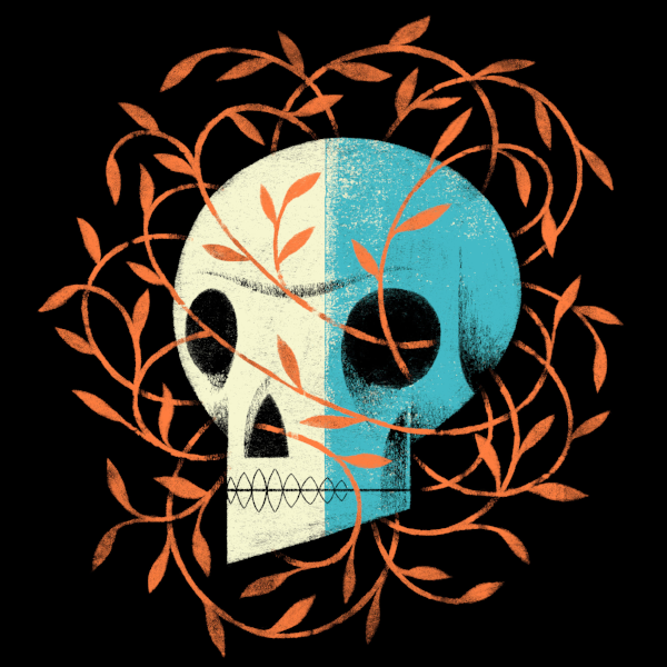 Skull.jpg