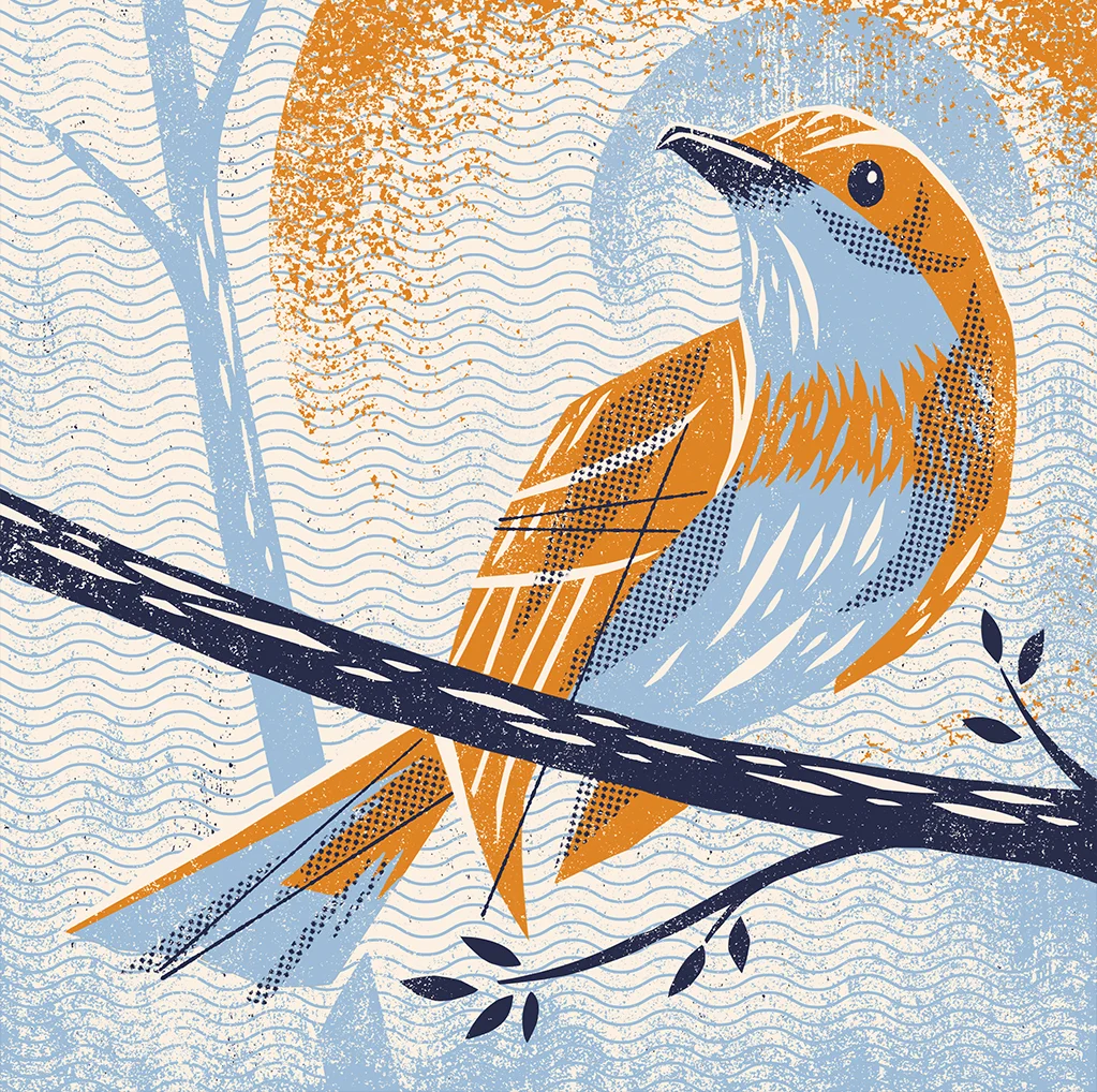 bird.jpg