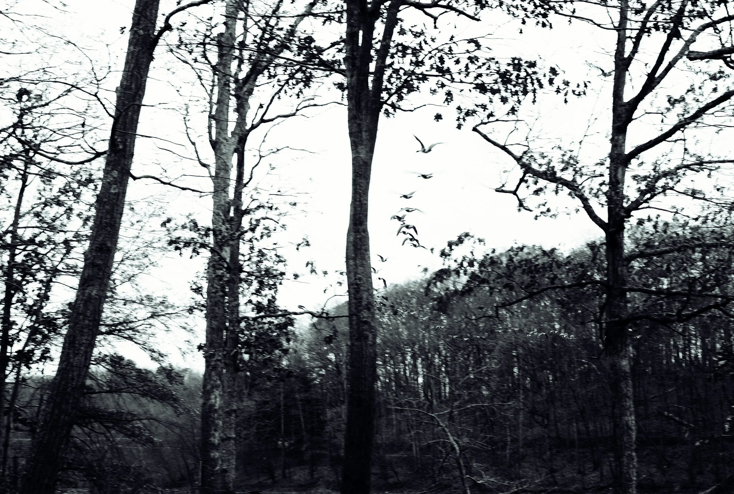 DSCF9115.jpg