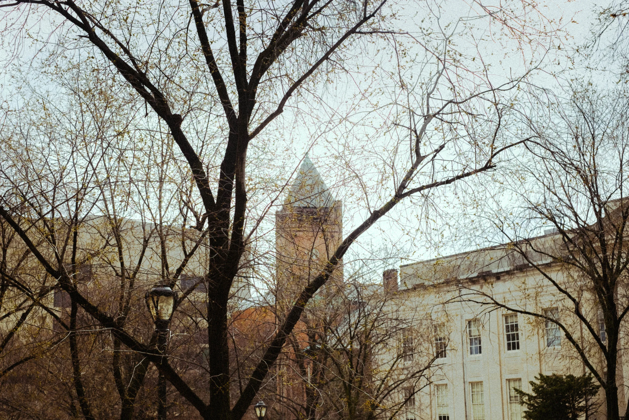 _DSF1014-2.jpg