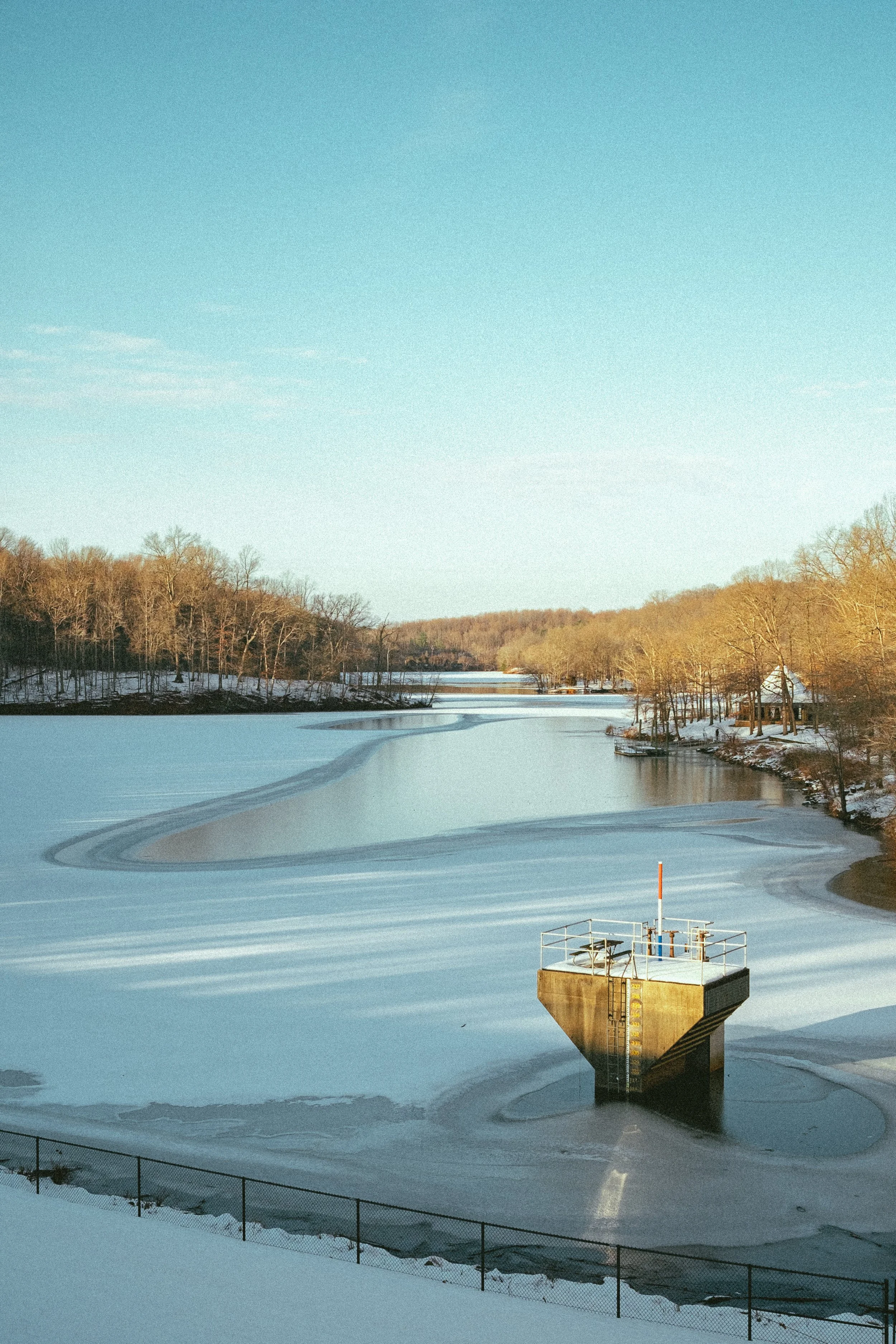 Landscape - Needwood.jpg