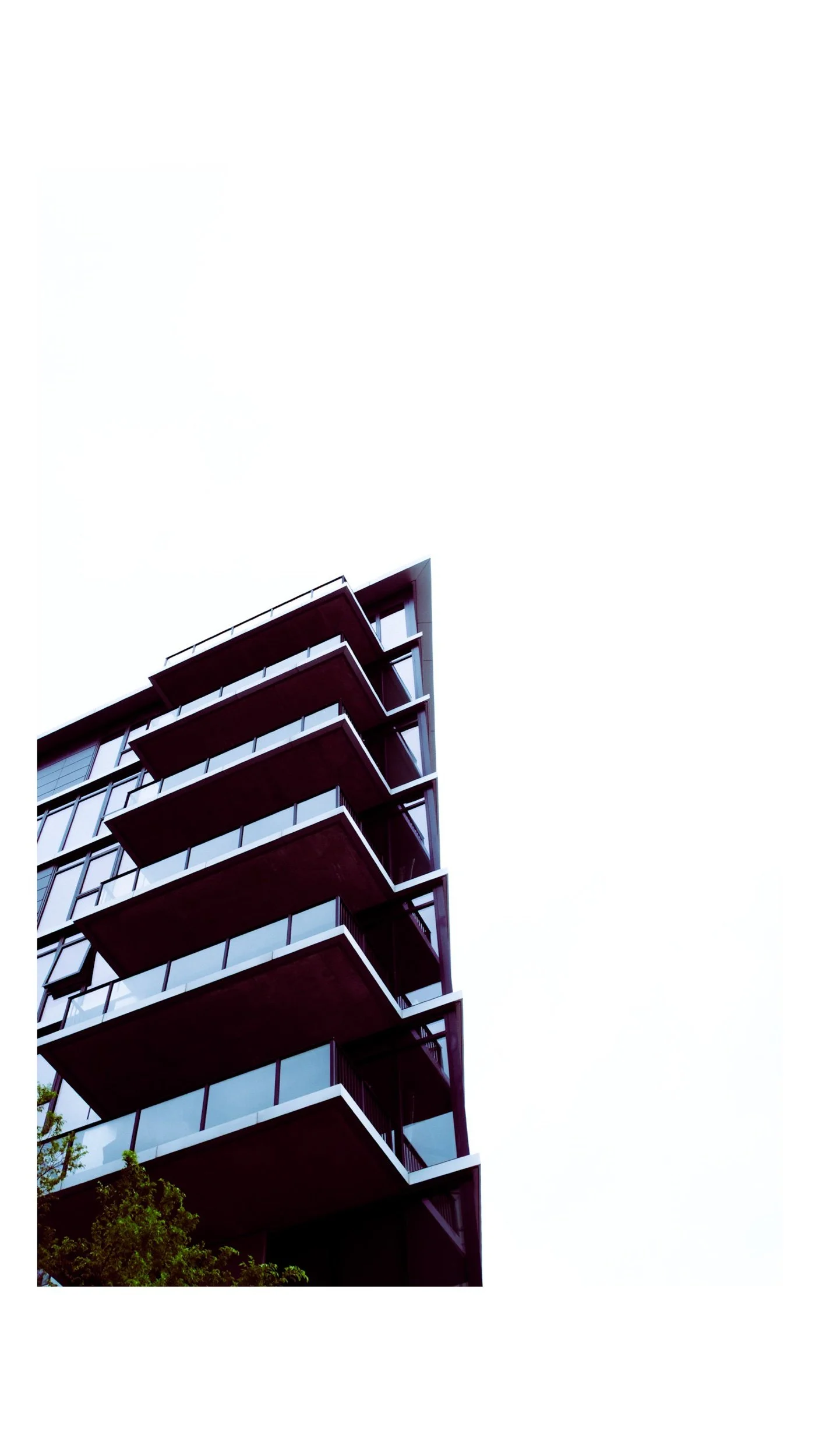 IMG_6536.jpeg
