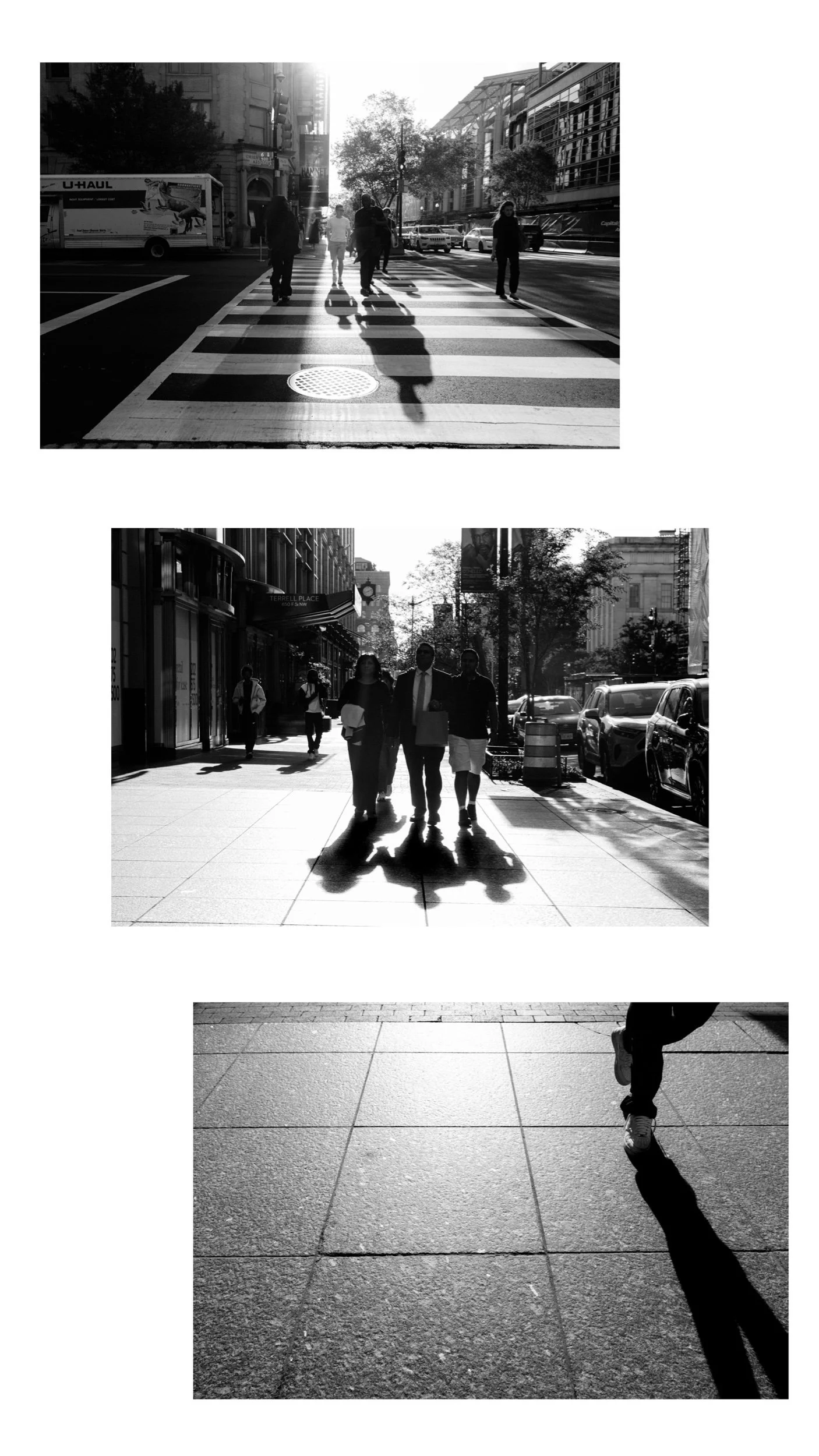 IMG_6599.jpeg