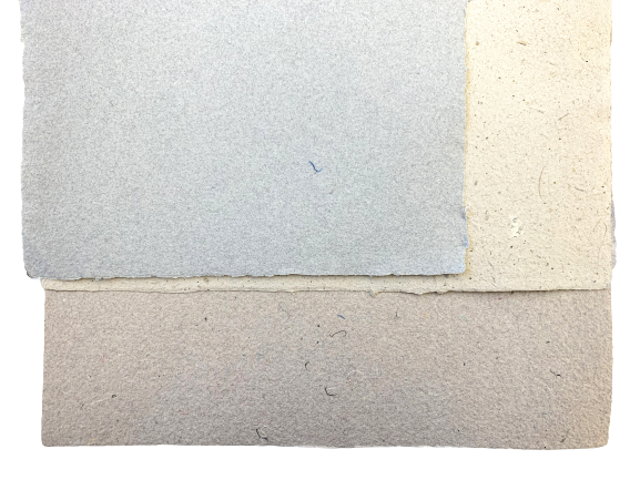IMG_2132_3-removebg-preview (1).png