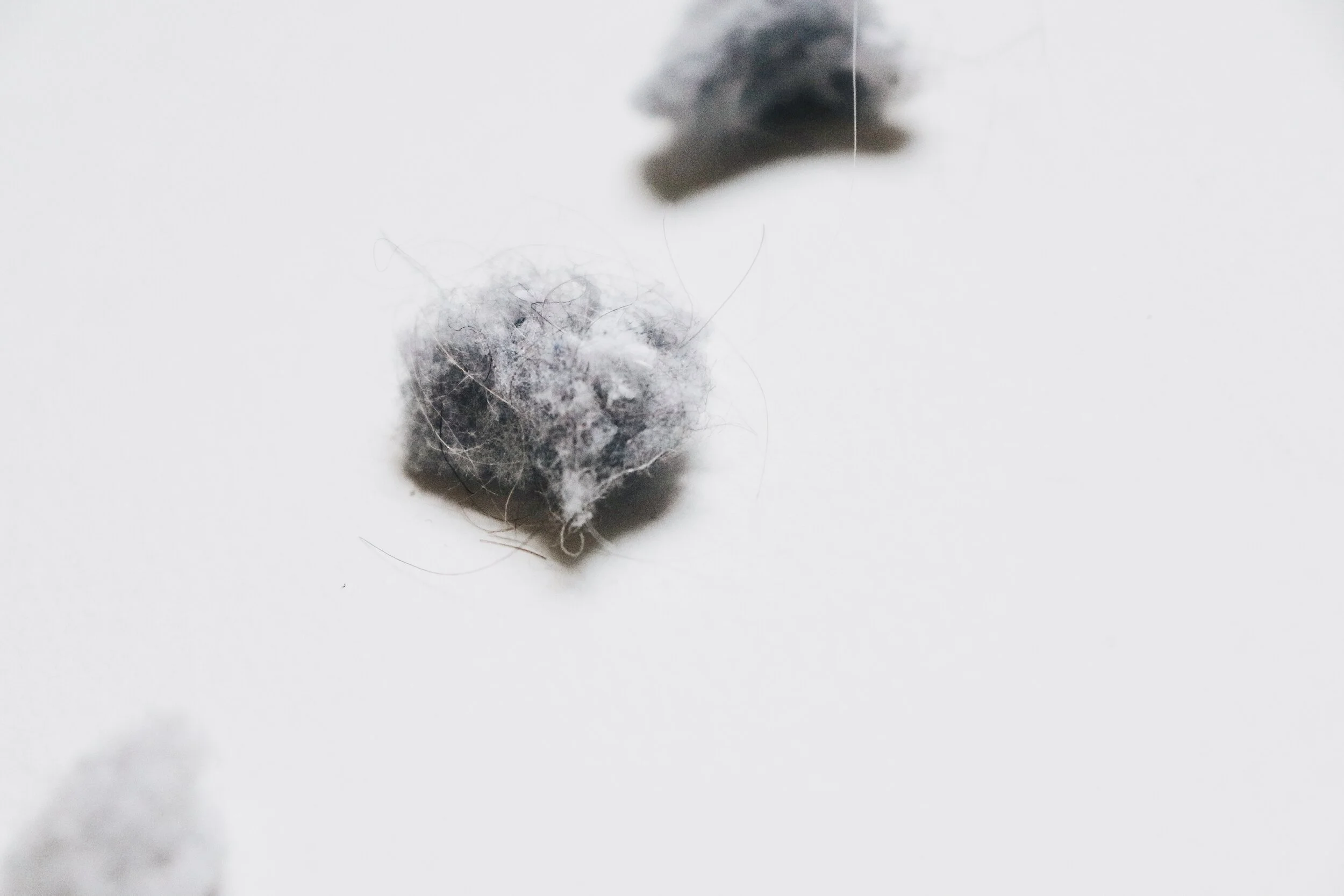 0268EB49-7B99-4CEA-92E9-563631B75F4D.jpg