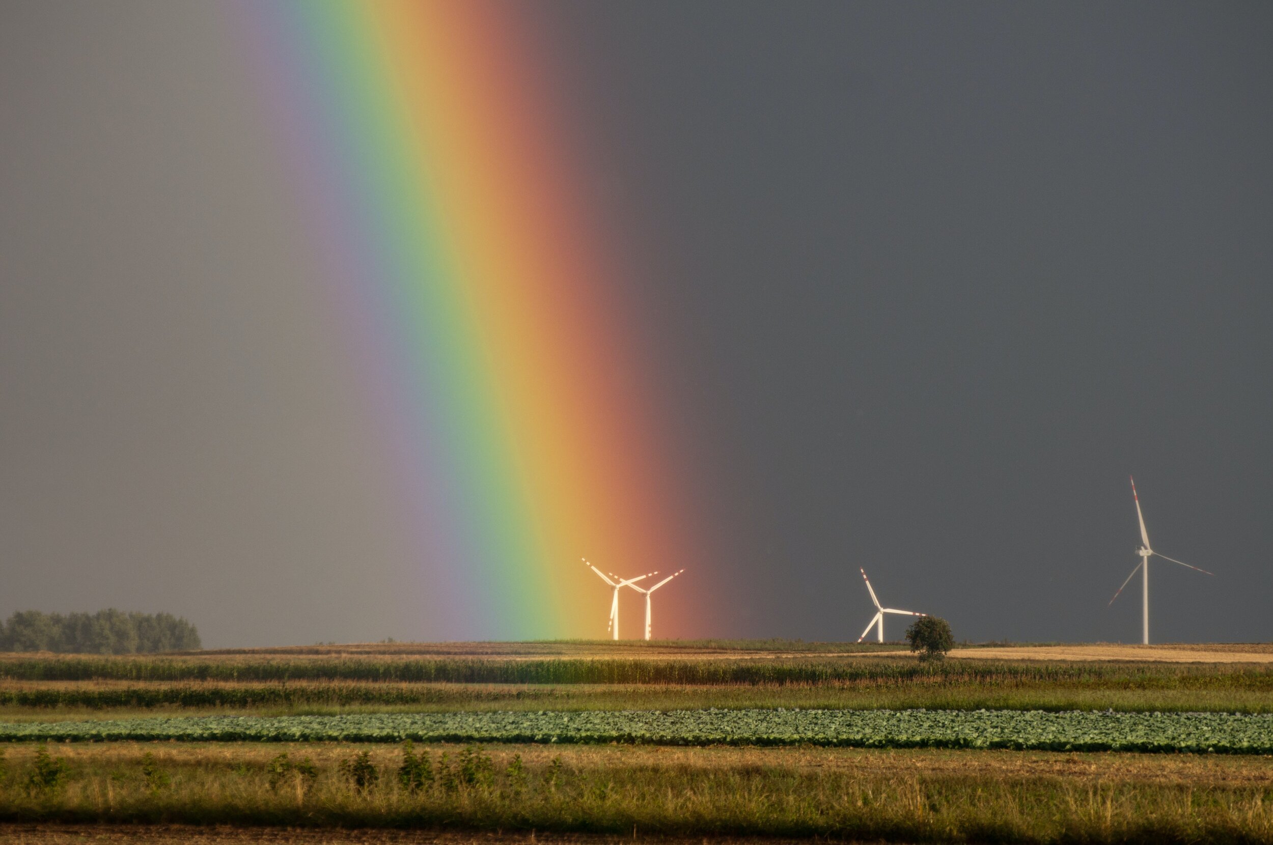 landscape-photography-of-field-with-wind-mill-with-rainbow-1253748.jpg