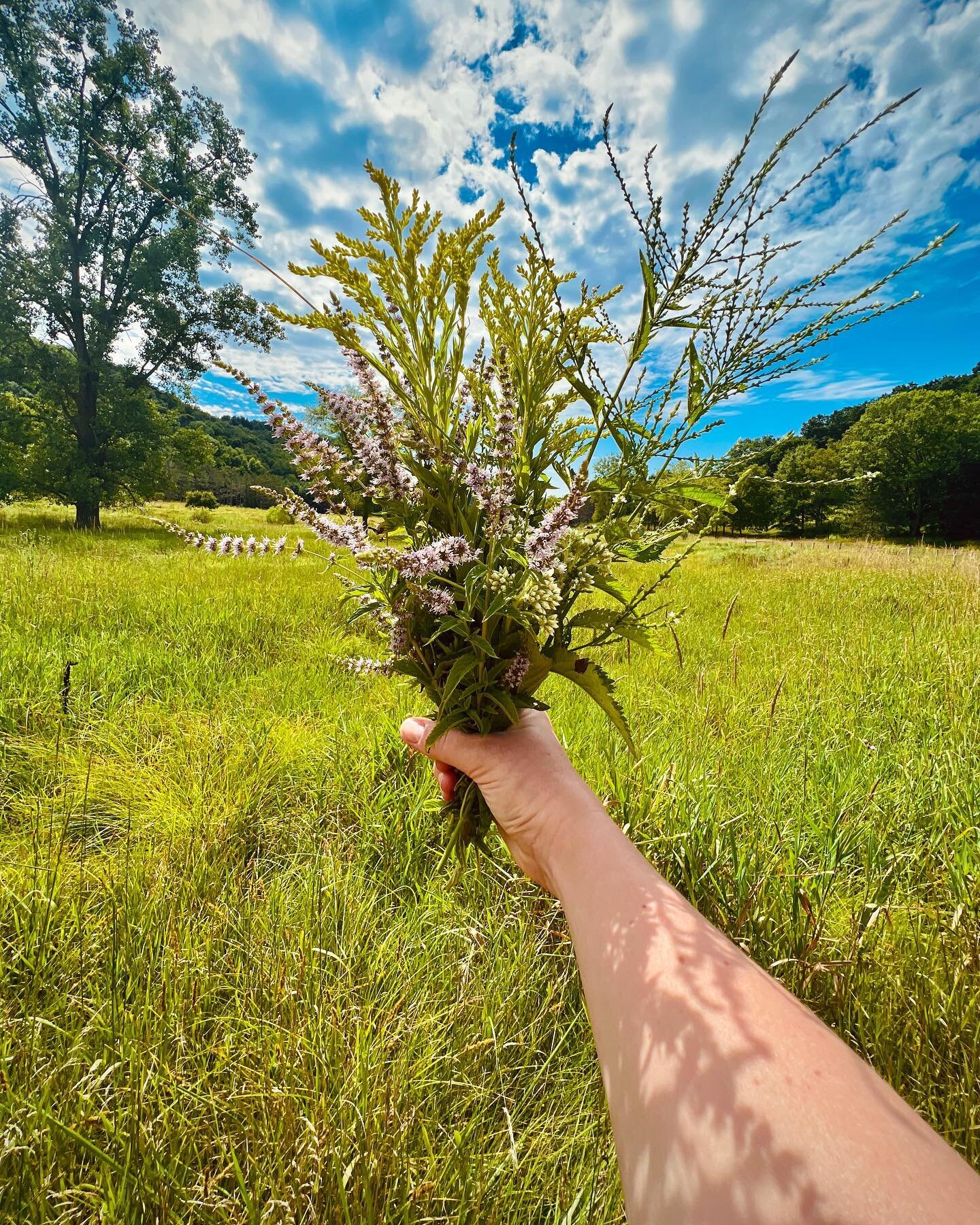 &ldquo;Be happy on purpose.

Go outside. Stretch. Read a book. Call a friend. Meditate. Write in a journal. Drink water. Eat good food. Breathe. Learn something new. Express gratitude. Chase the sun. Dance.

Create magic.&rdquo;

(Bountiful bouquet o