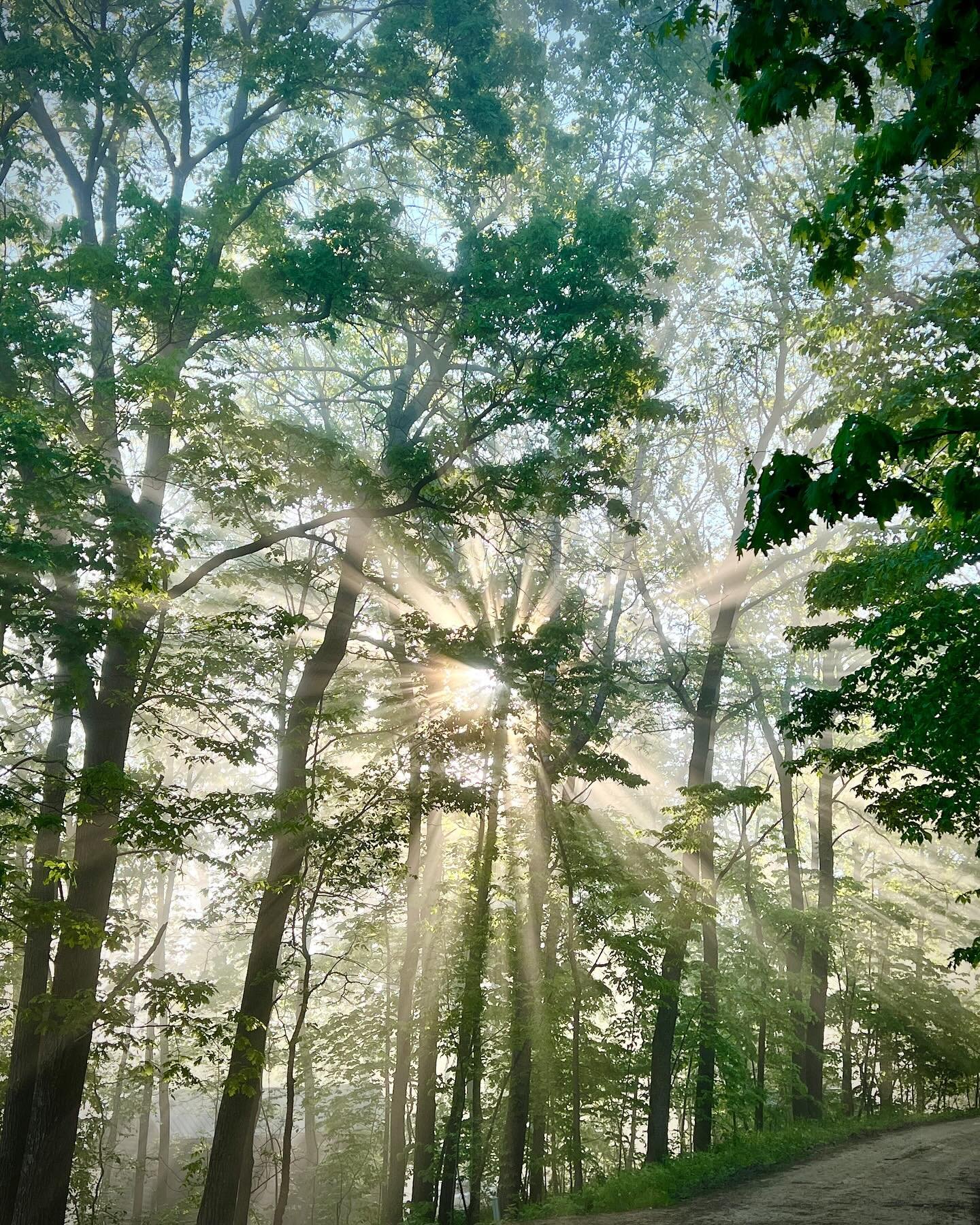 Magical Mornings.