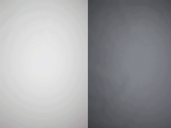 Newsletter700px.gif