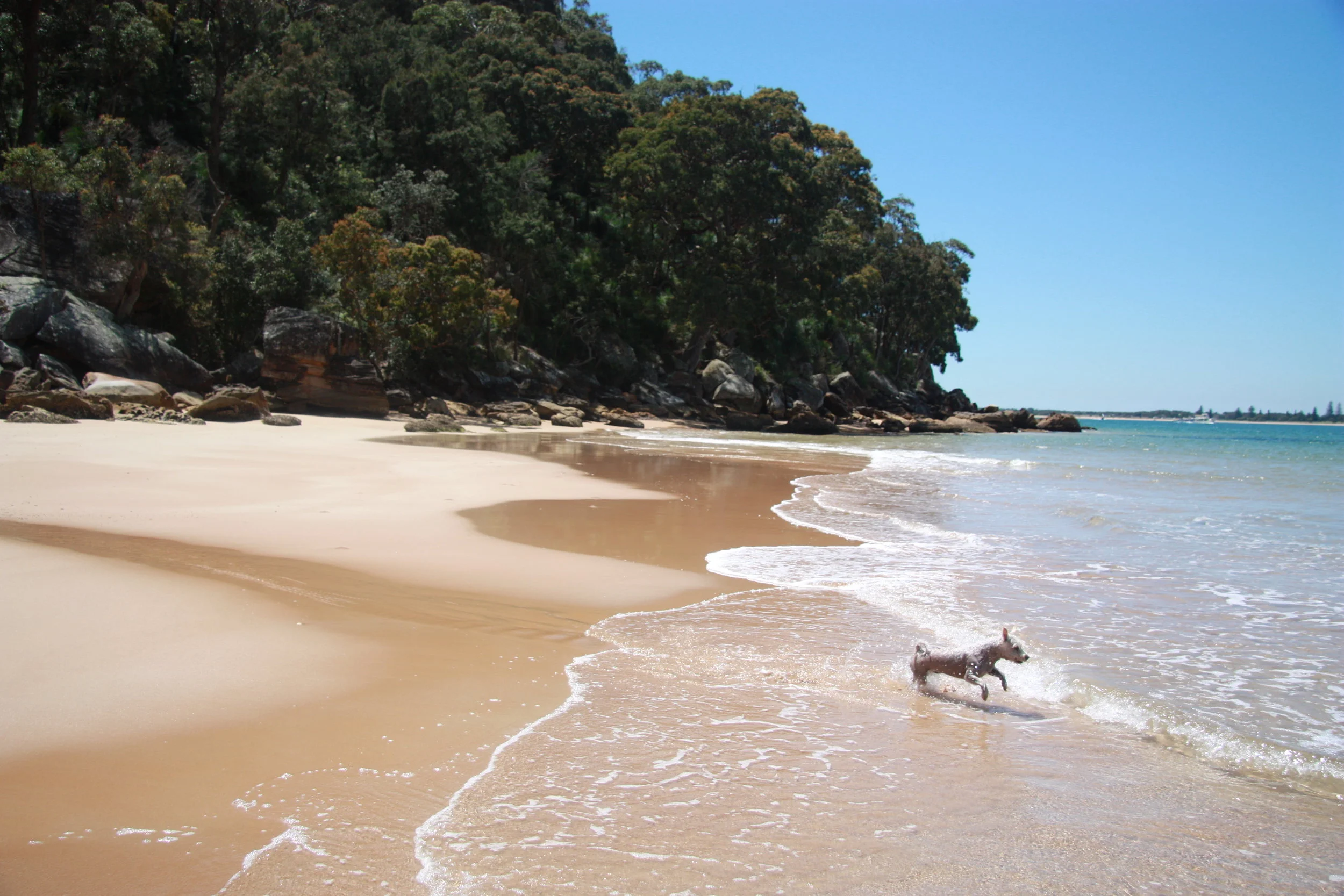 Art boat trip 3.11.10 148.JPG