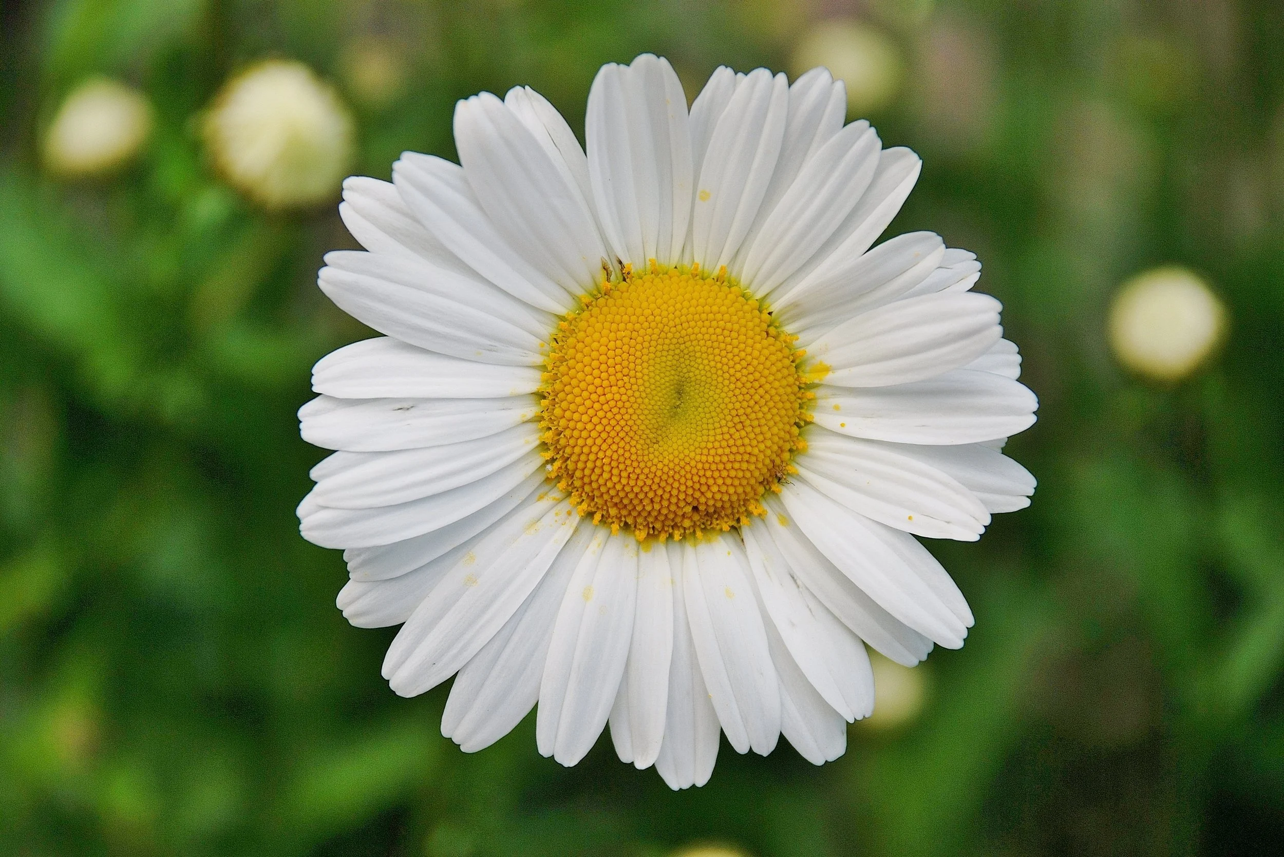 Eight Easy Ways to Remove Unpleasant Household Smells